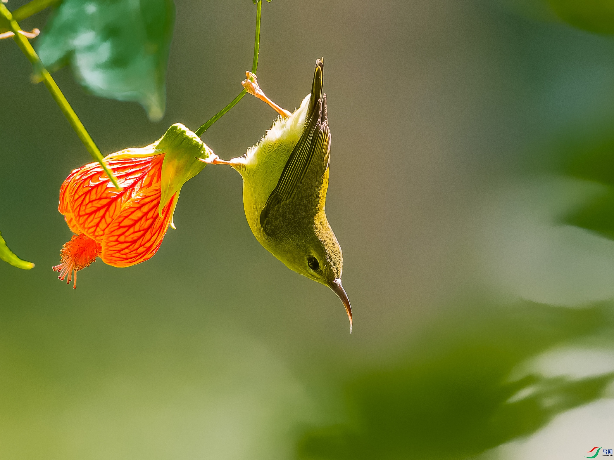 DSC03207-2M.jpg