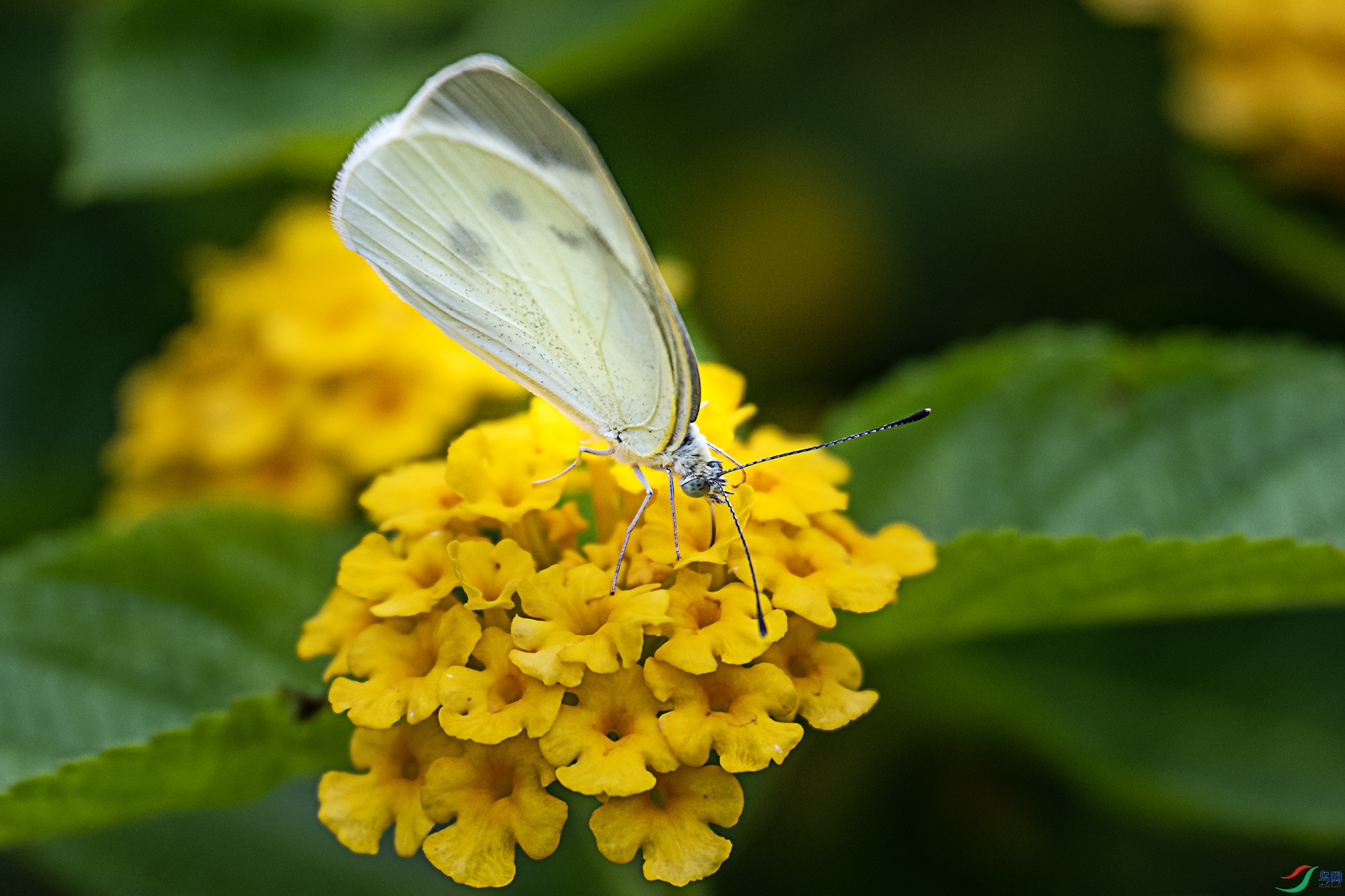 DSC_6708.jpg