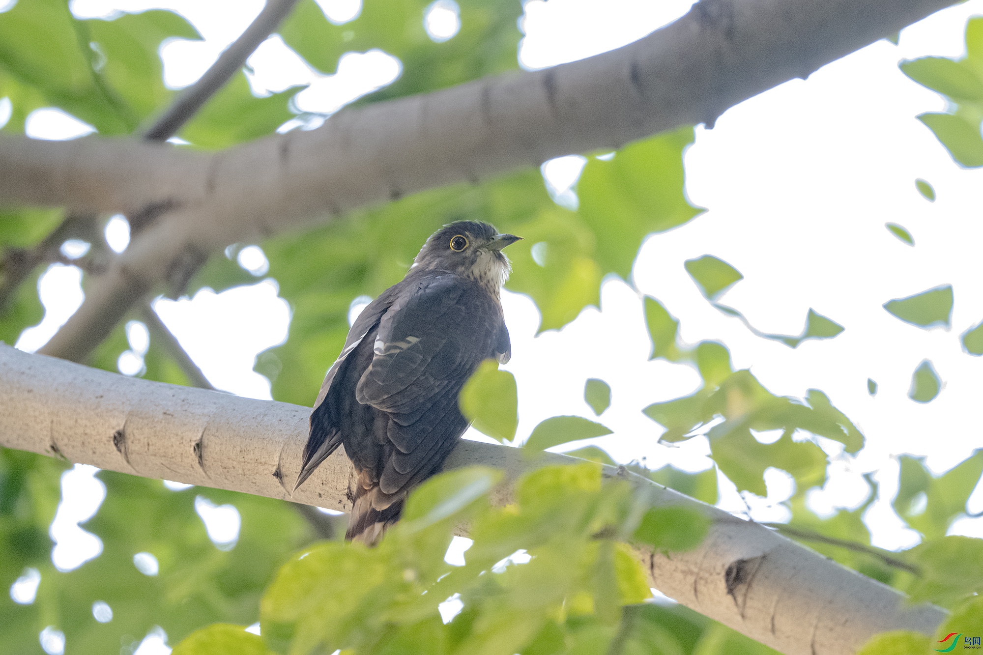 DSC_6849.jpg