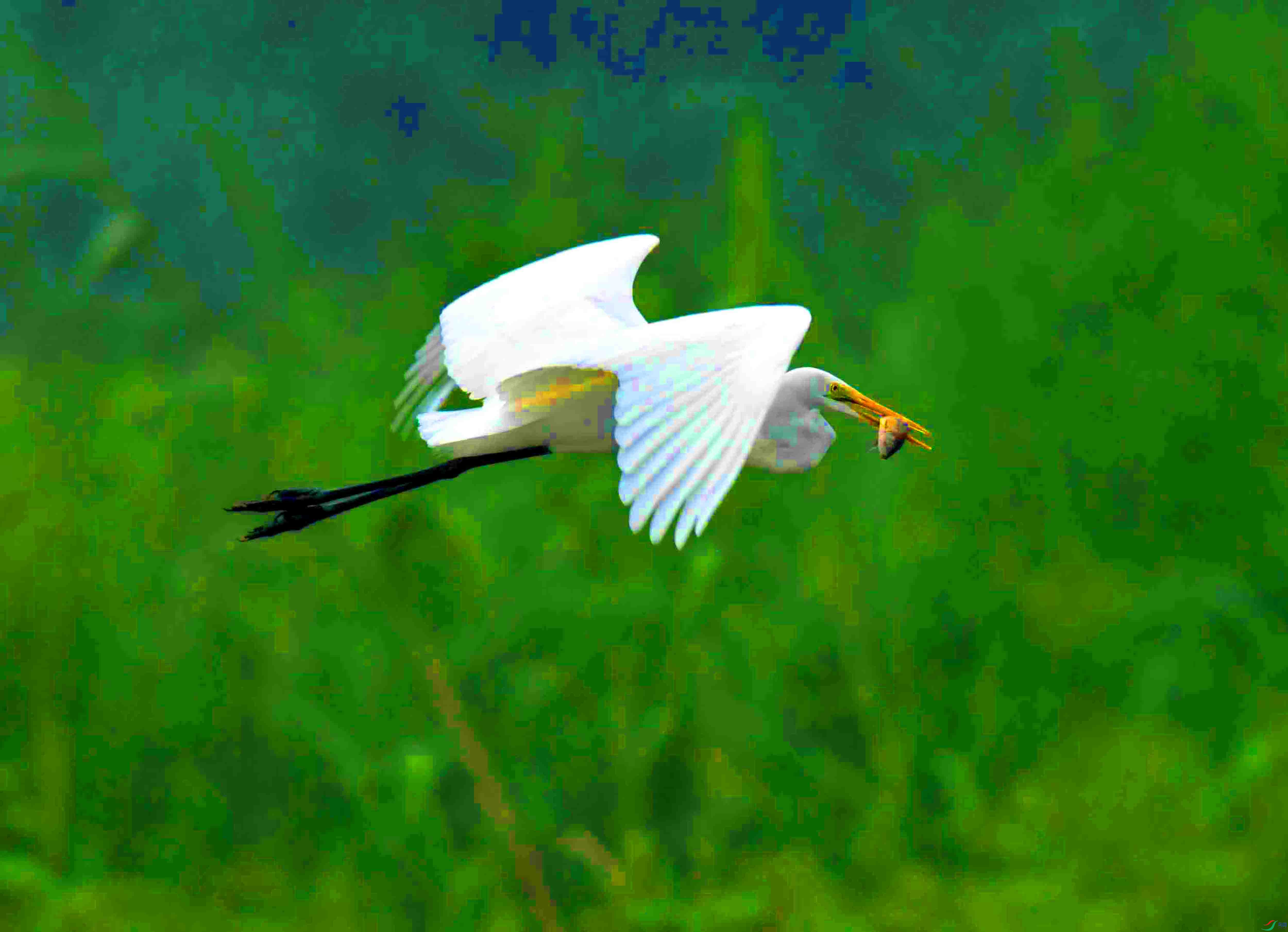 DSC_7989.JPG