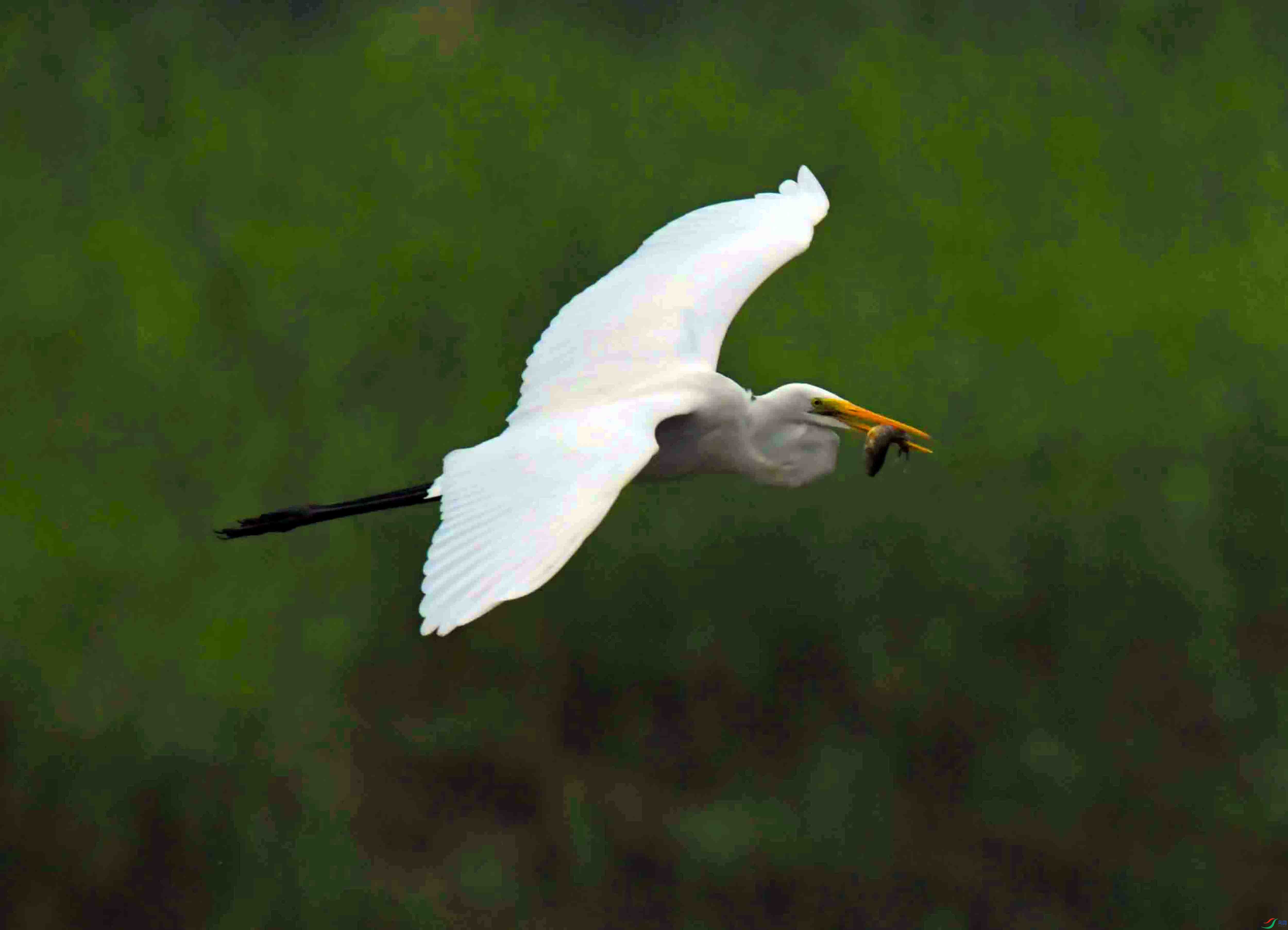 DSC_7995.JPG