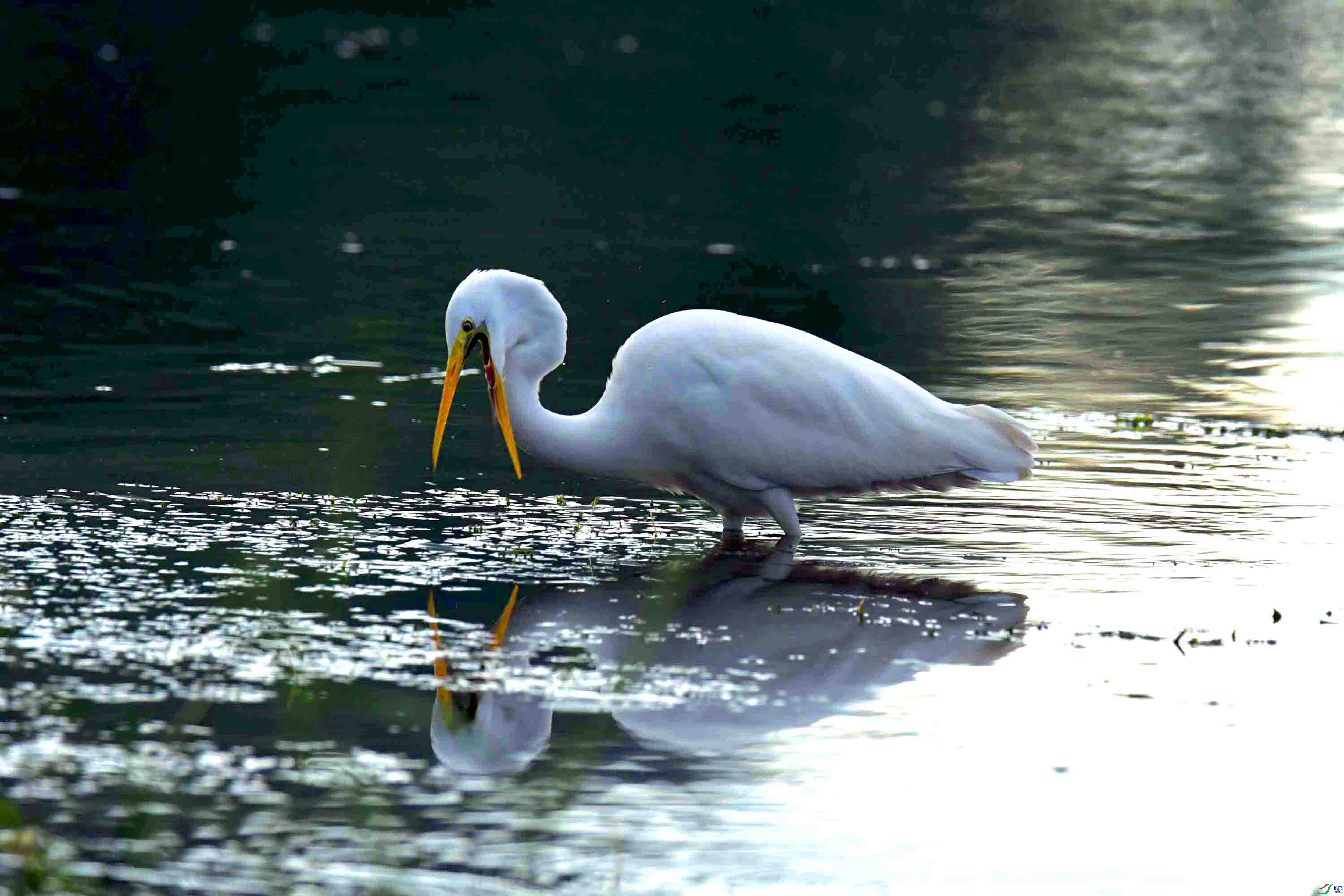 DSC_8019.JPG