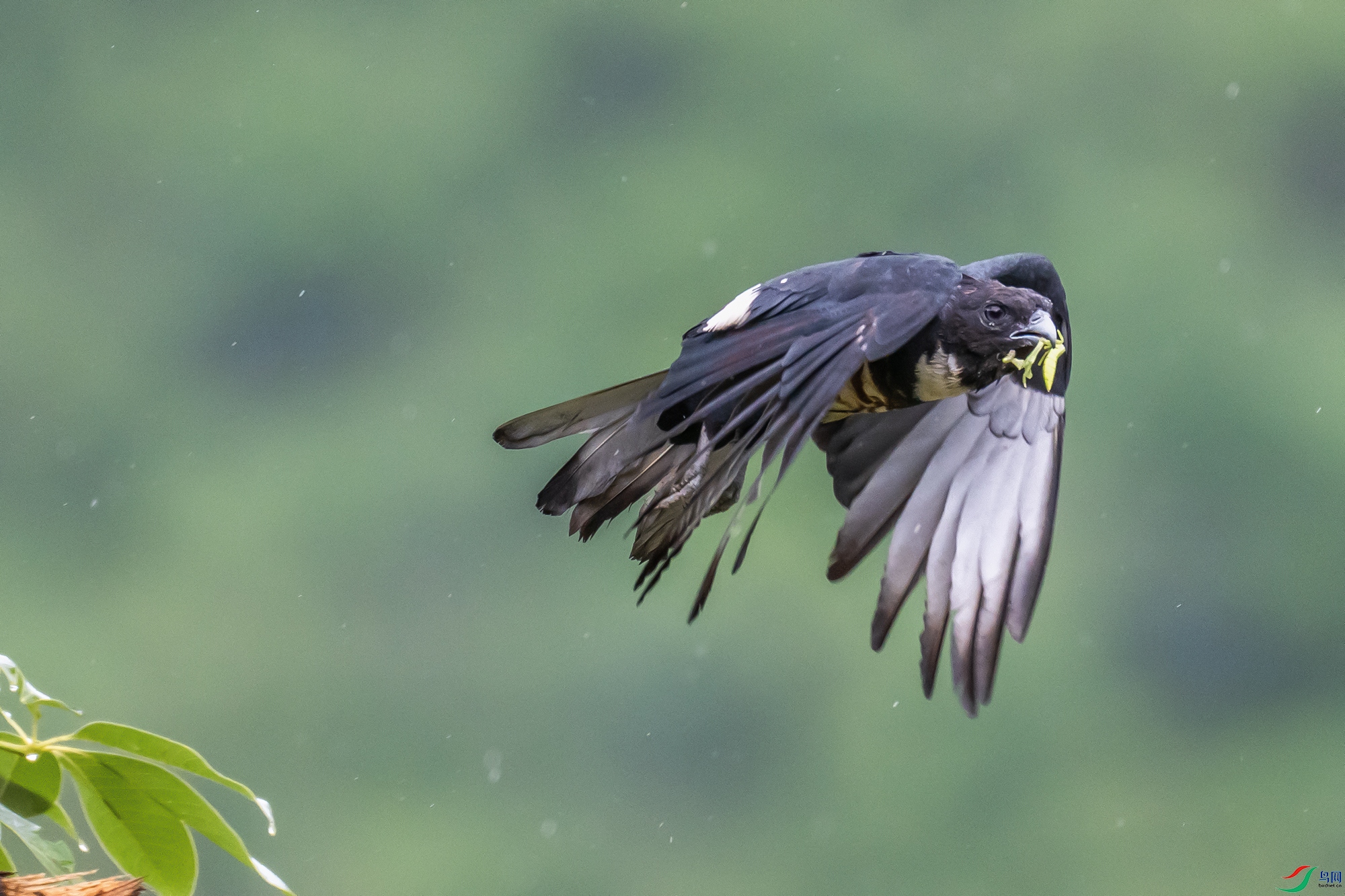 DSC_5040-1a.jpg