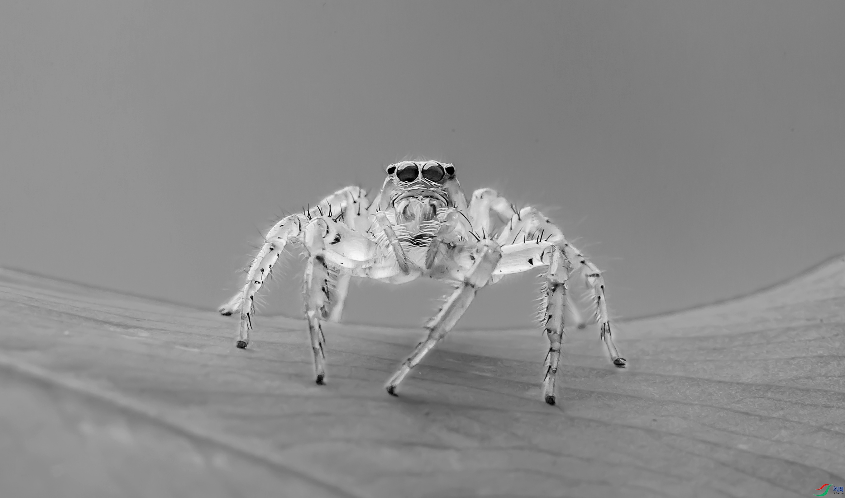 IMGL6527h.jpg