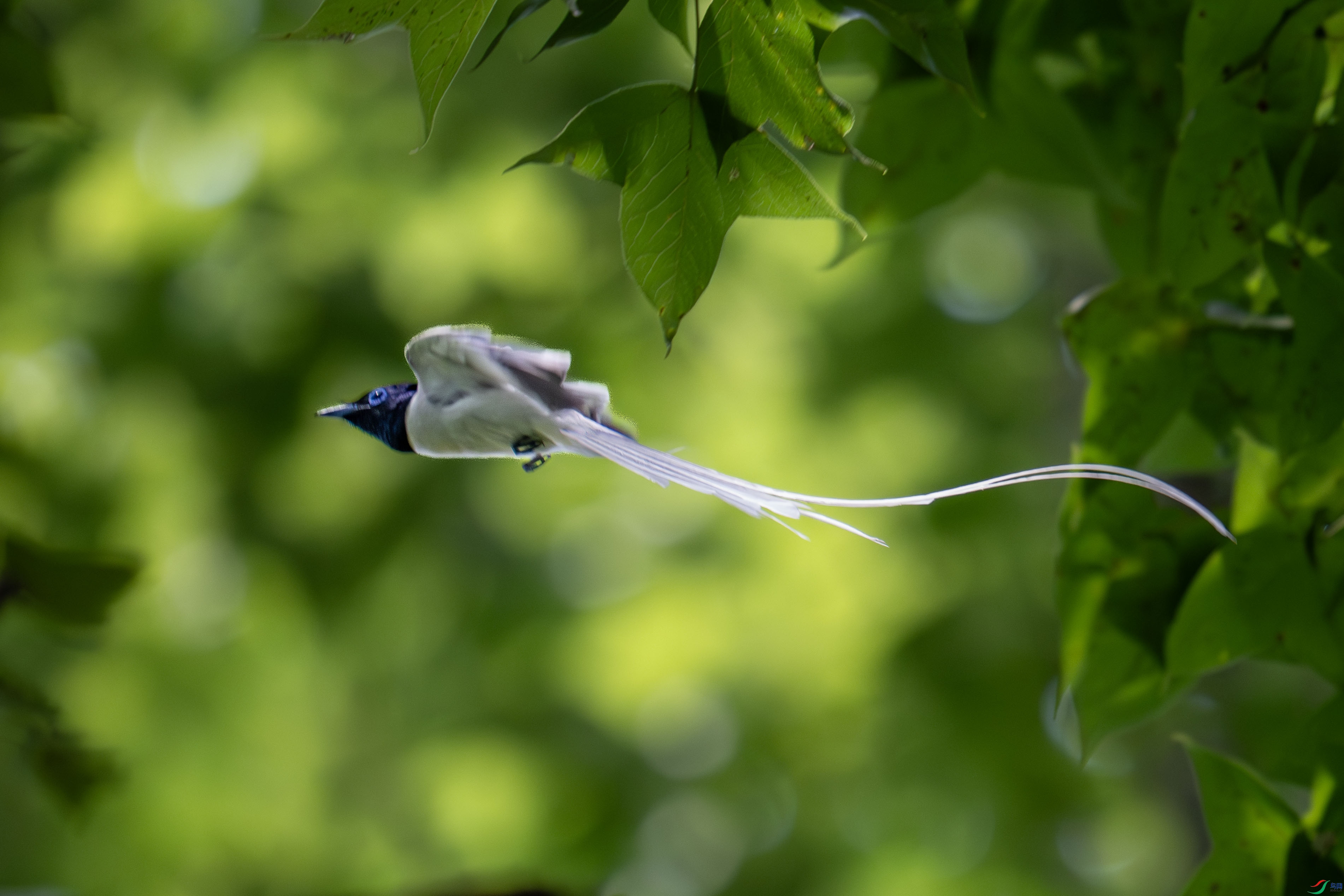 _DSC8543.jpg