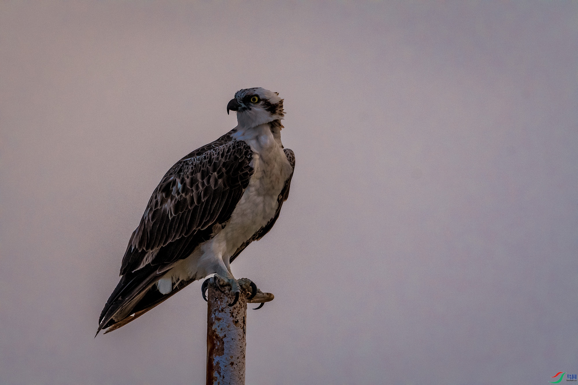 _DSC3615.jpg