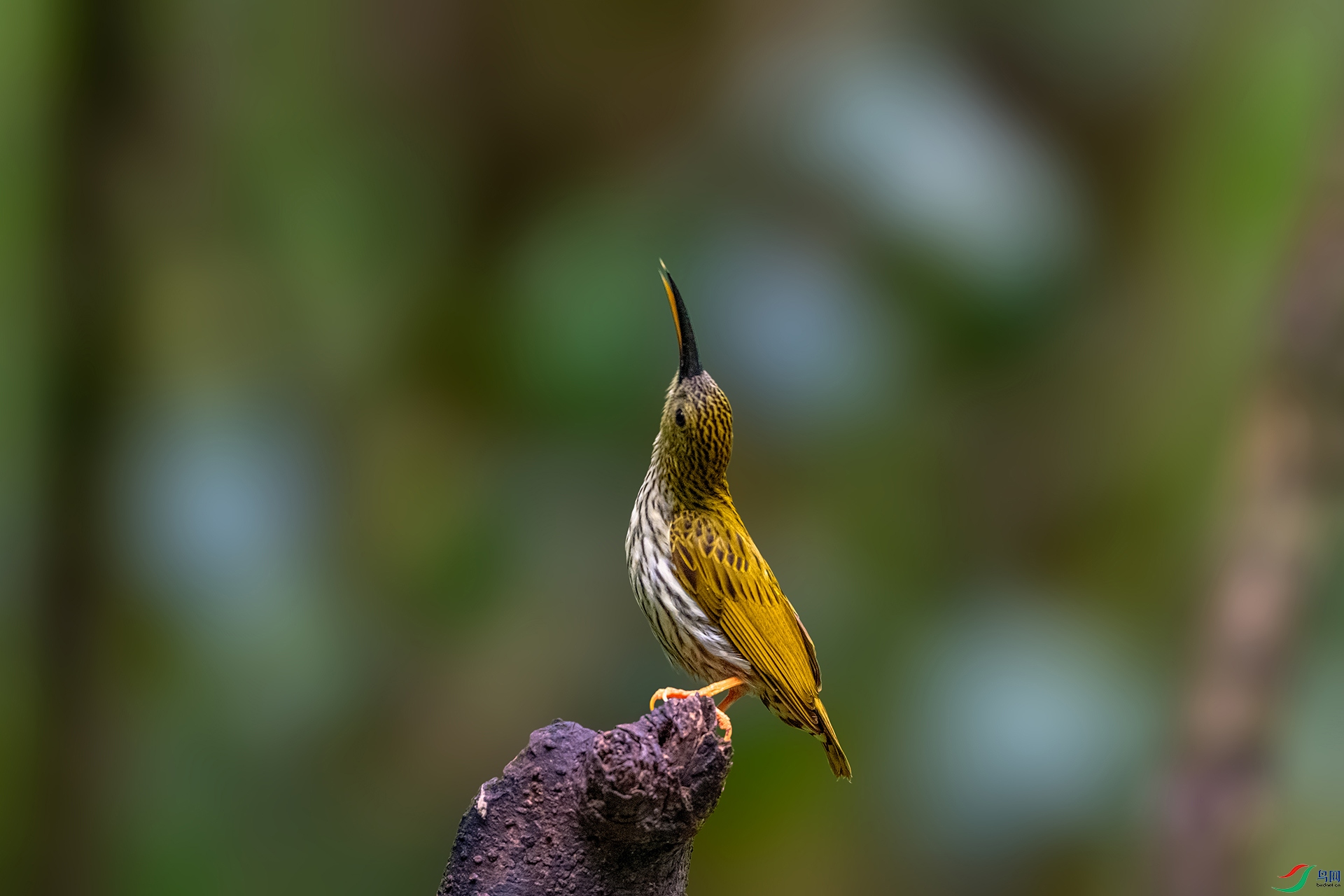 _AUU3951 �Ʊ�������(26.4.27).jpg