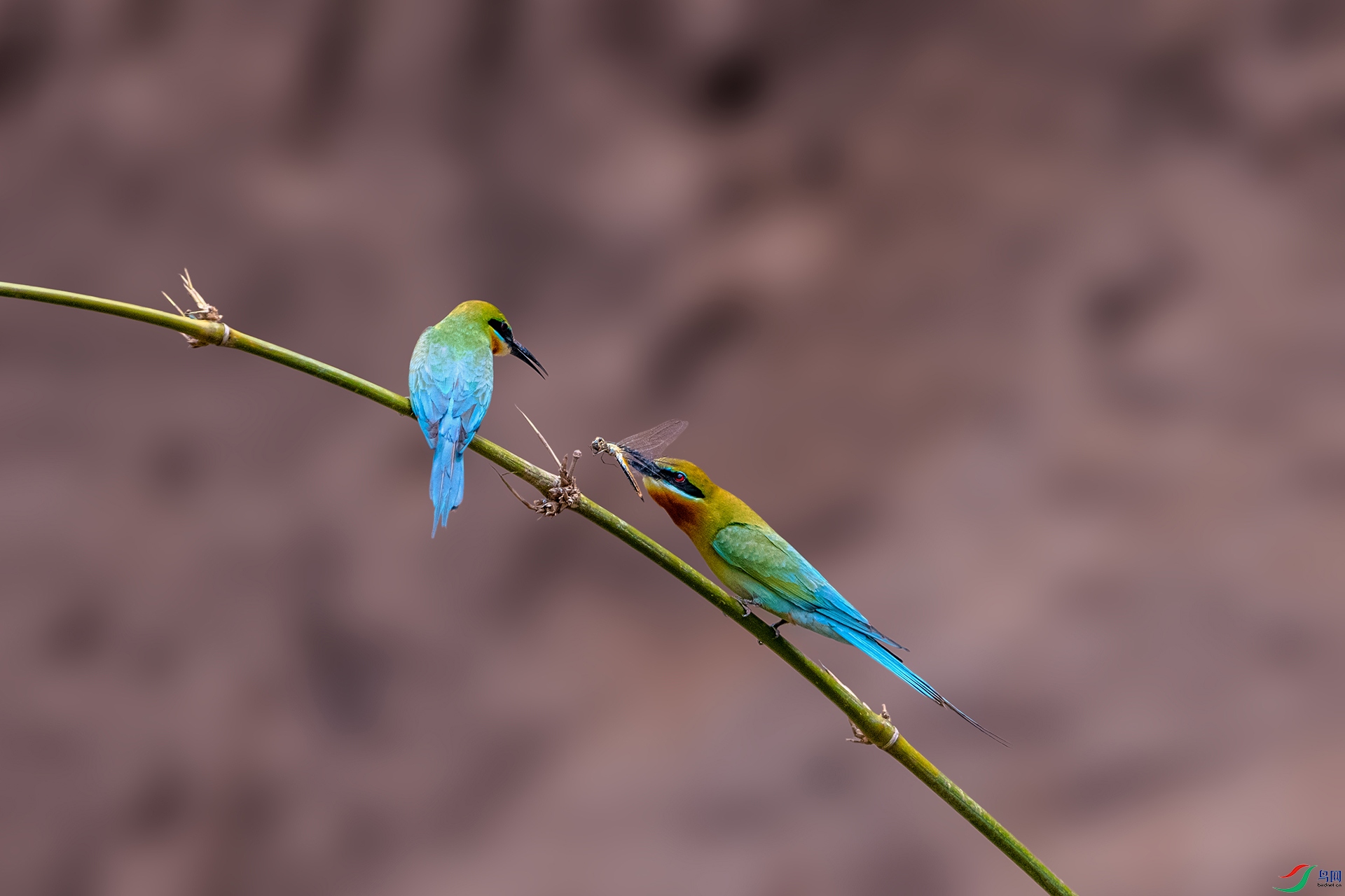 _AUU4046 �ö�������(25.5.11).jpg