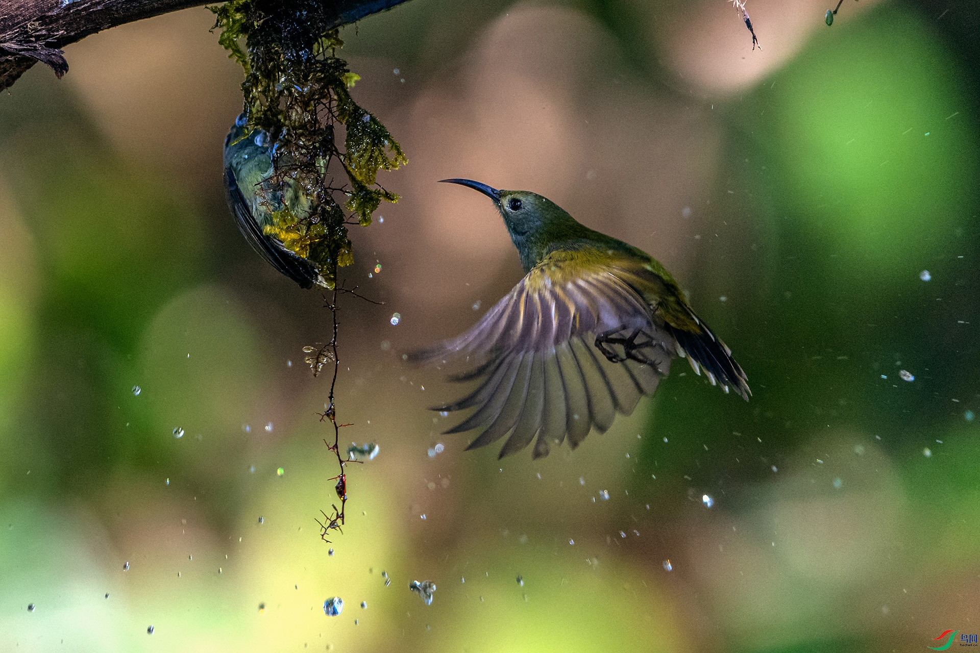 _AUU4317�̺�̫����(24.2.17).jpg