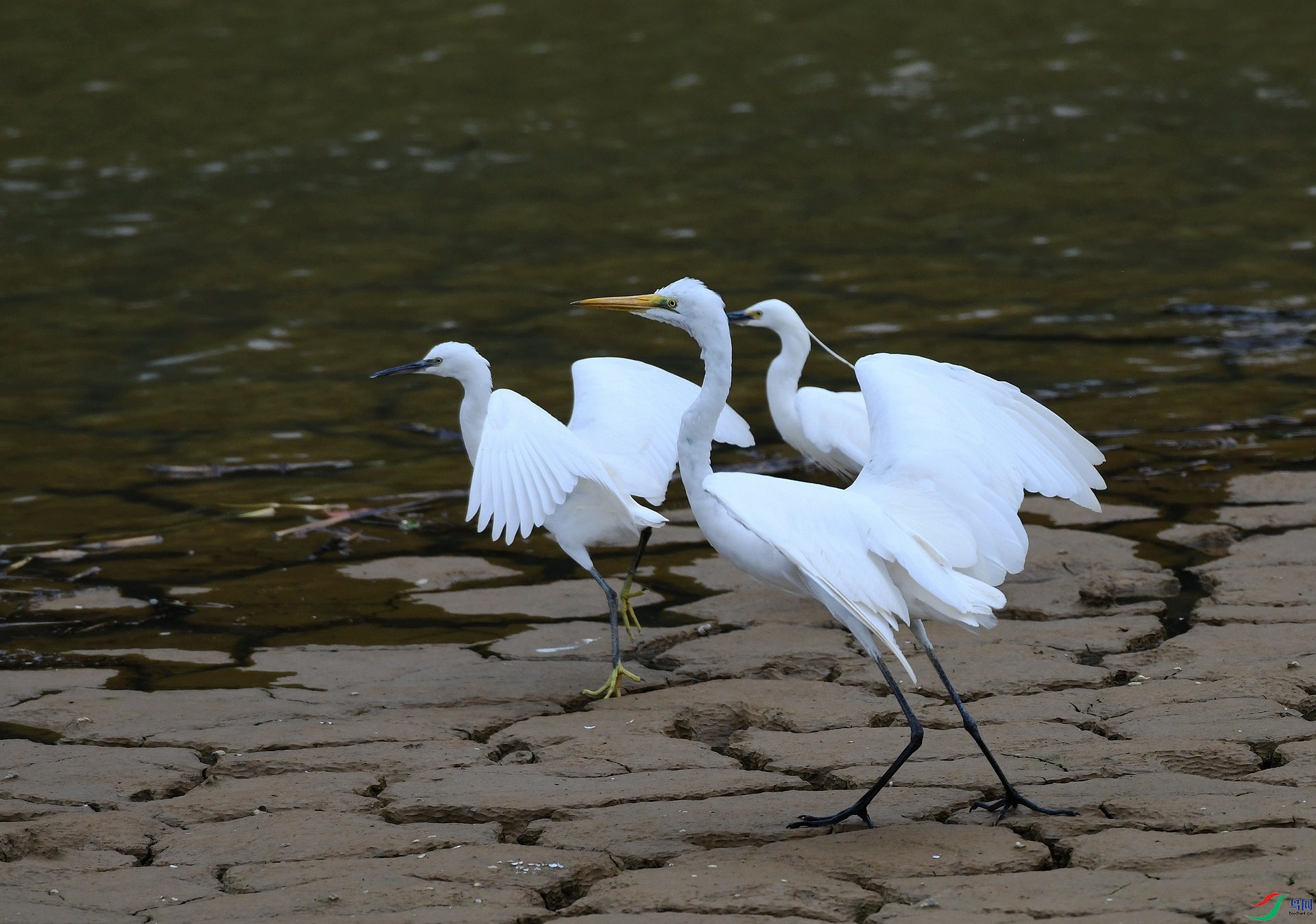 DSC_4841.jpg