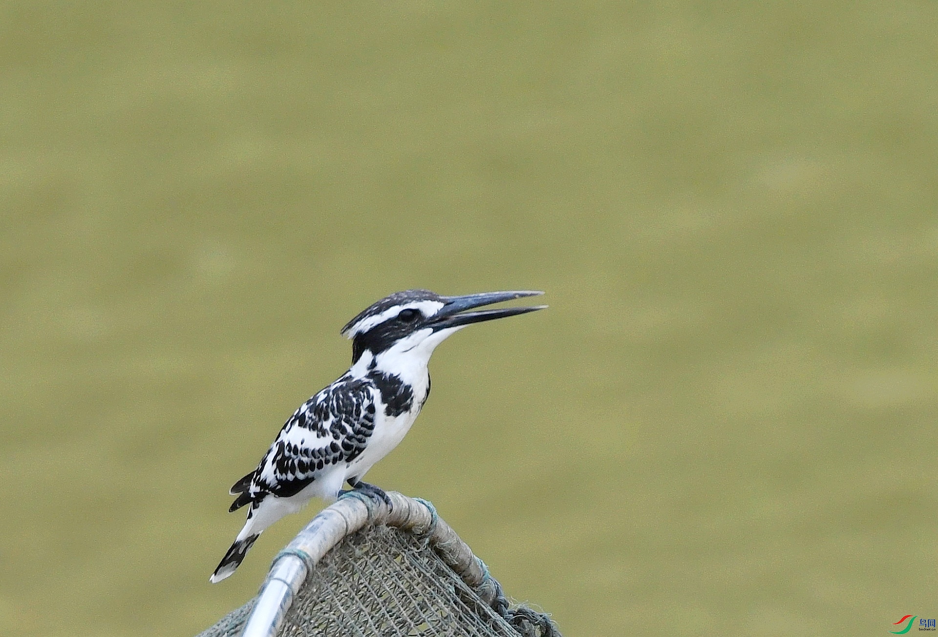 DSC_4844.jpg