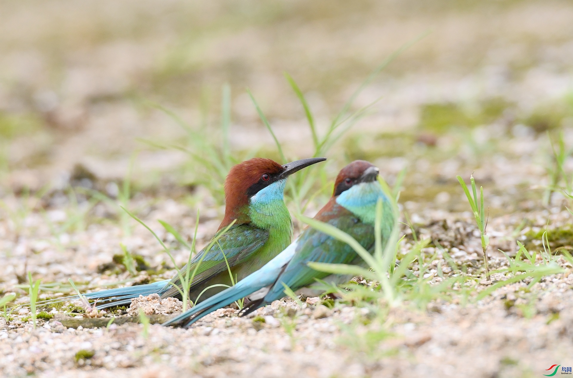 DSC_5577.jpg