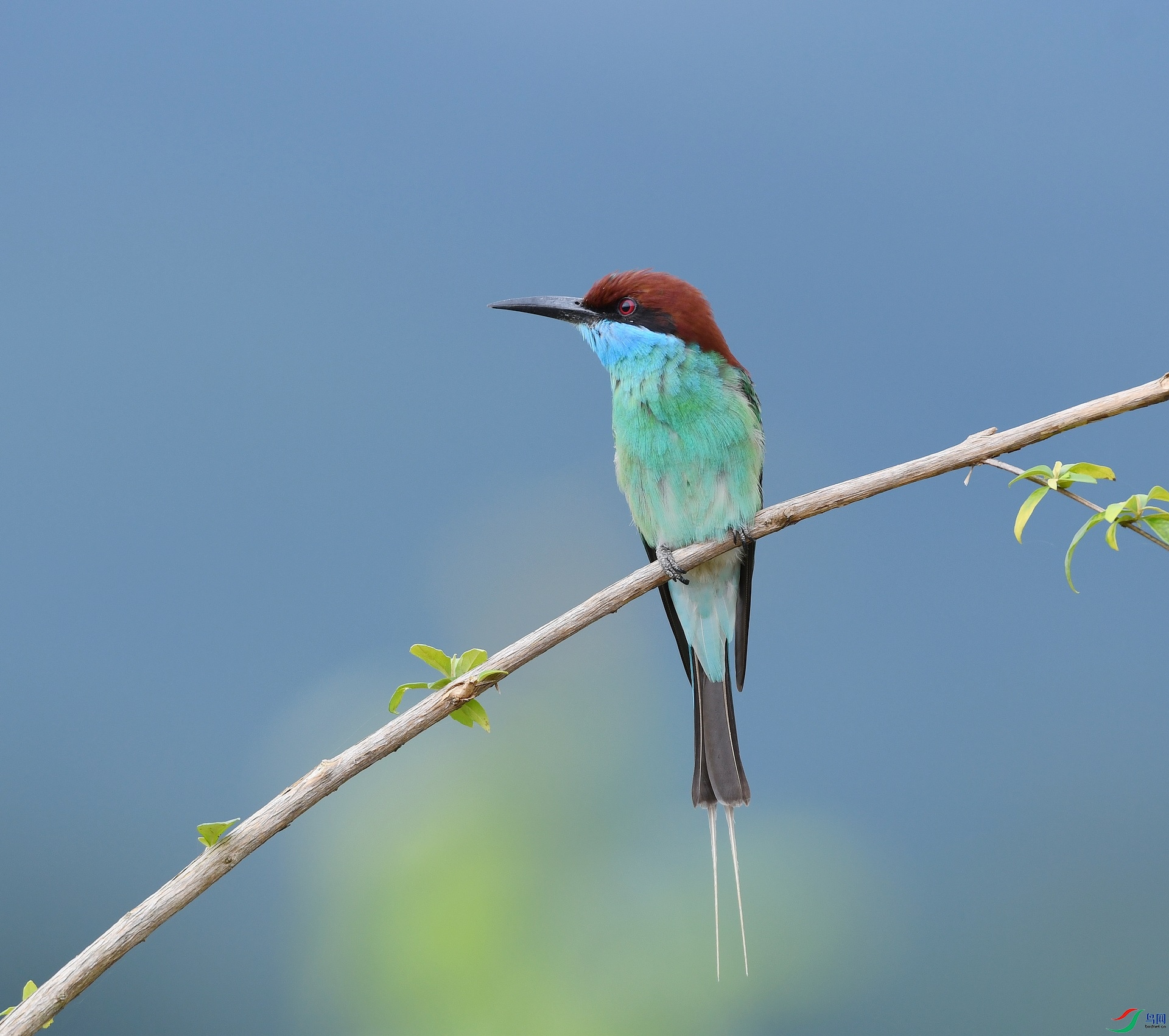 DSC_5061.jpg