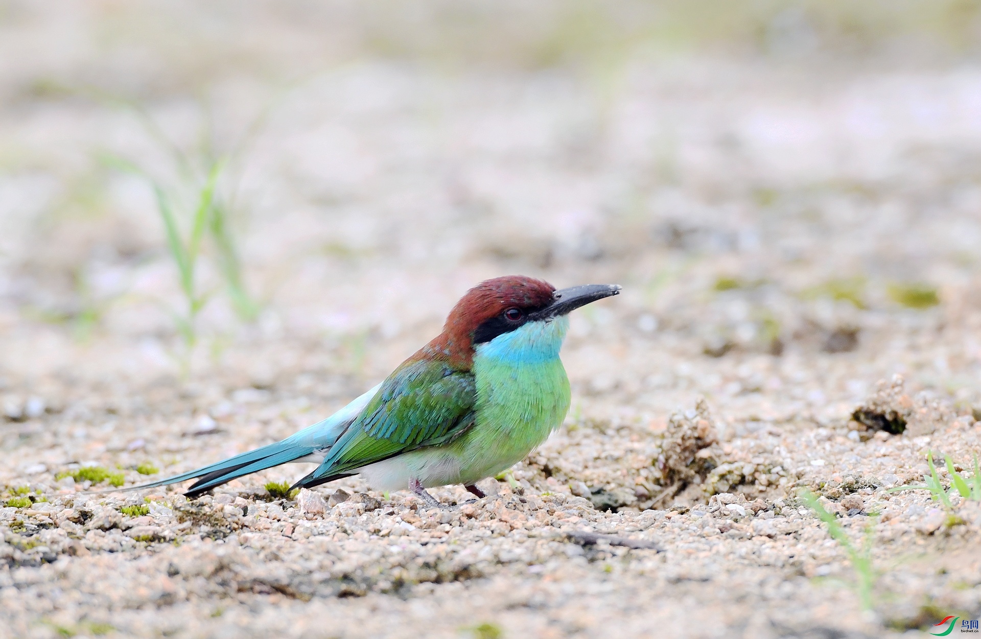 DSC_5604.jpg