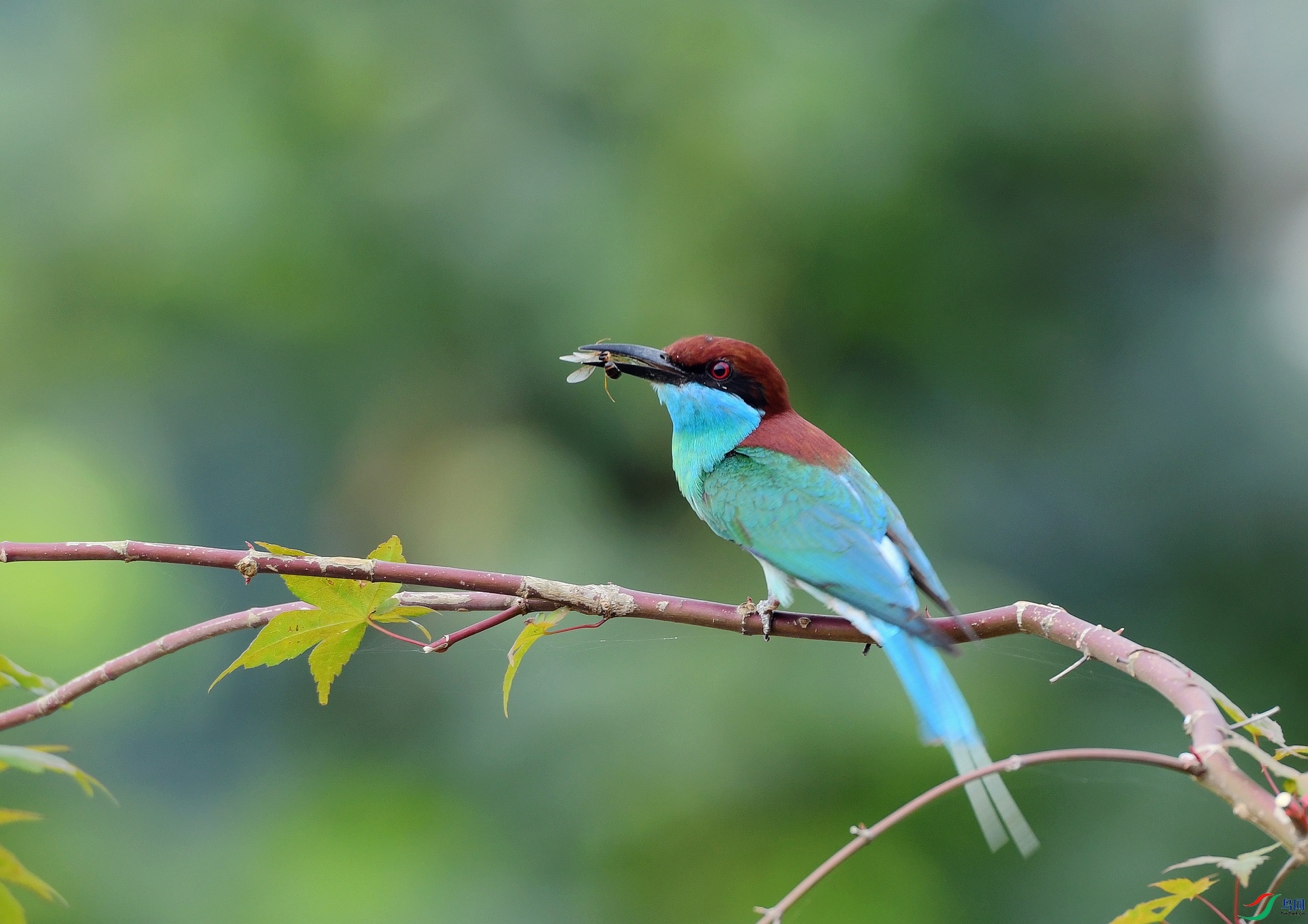 DSC_5066.jpg