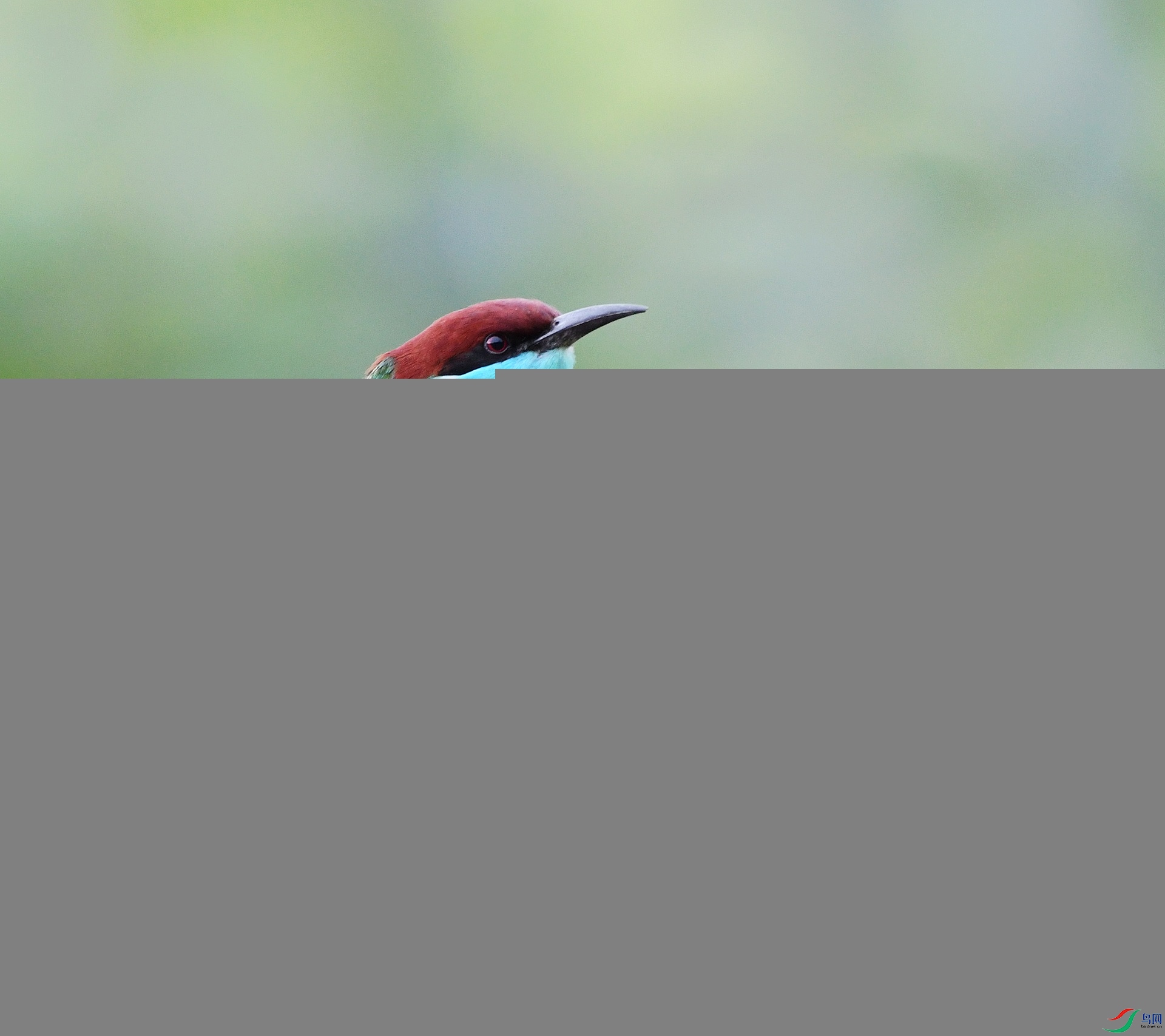 DSC_5640.jpg