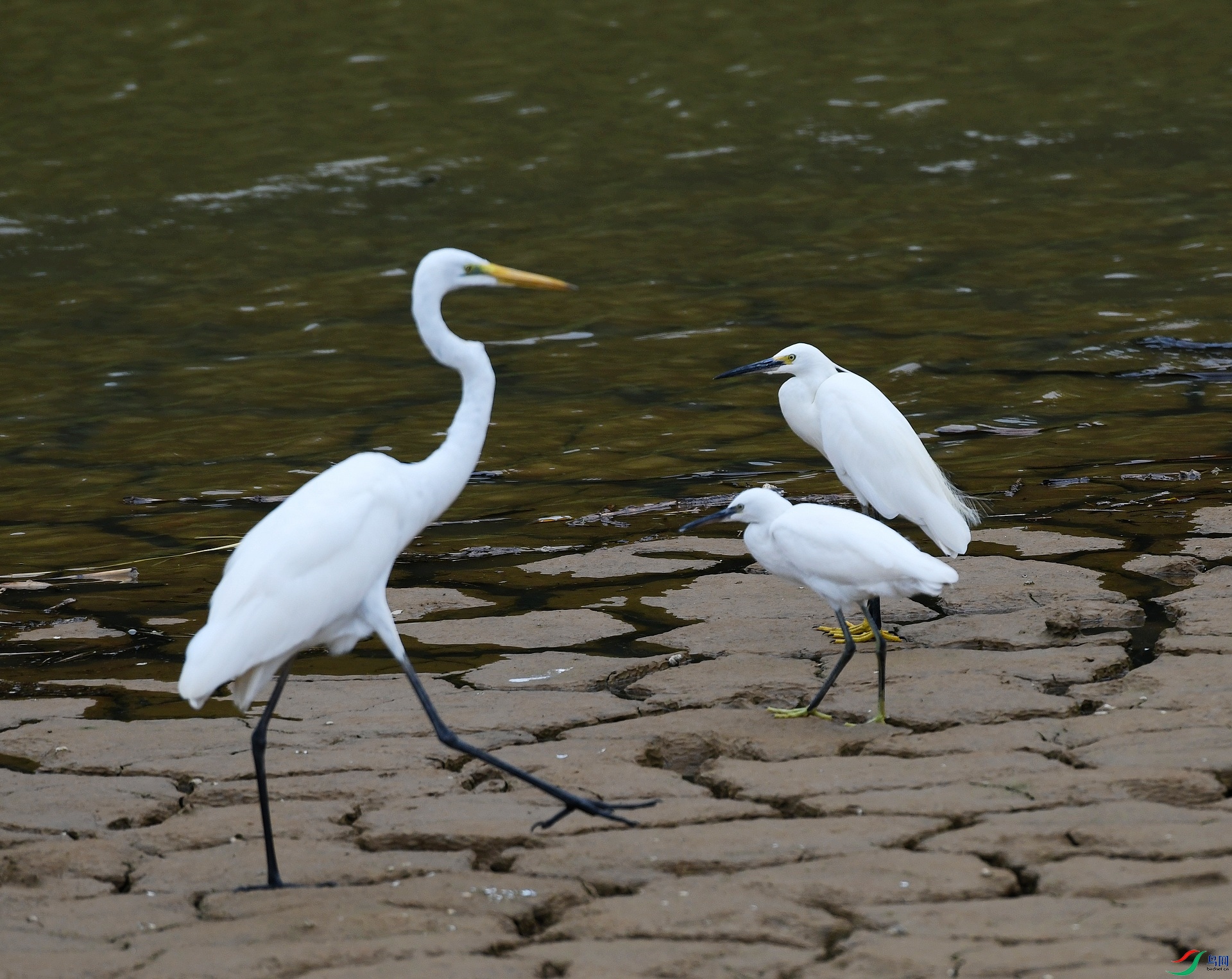 DSC_4839.jpg