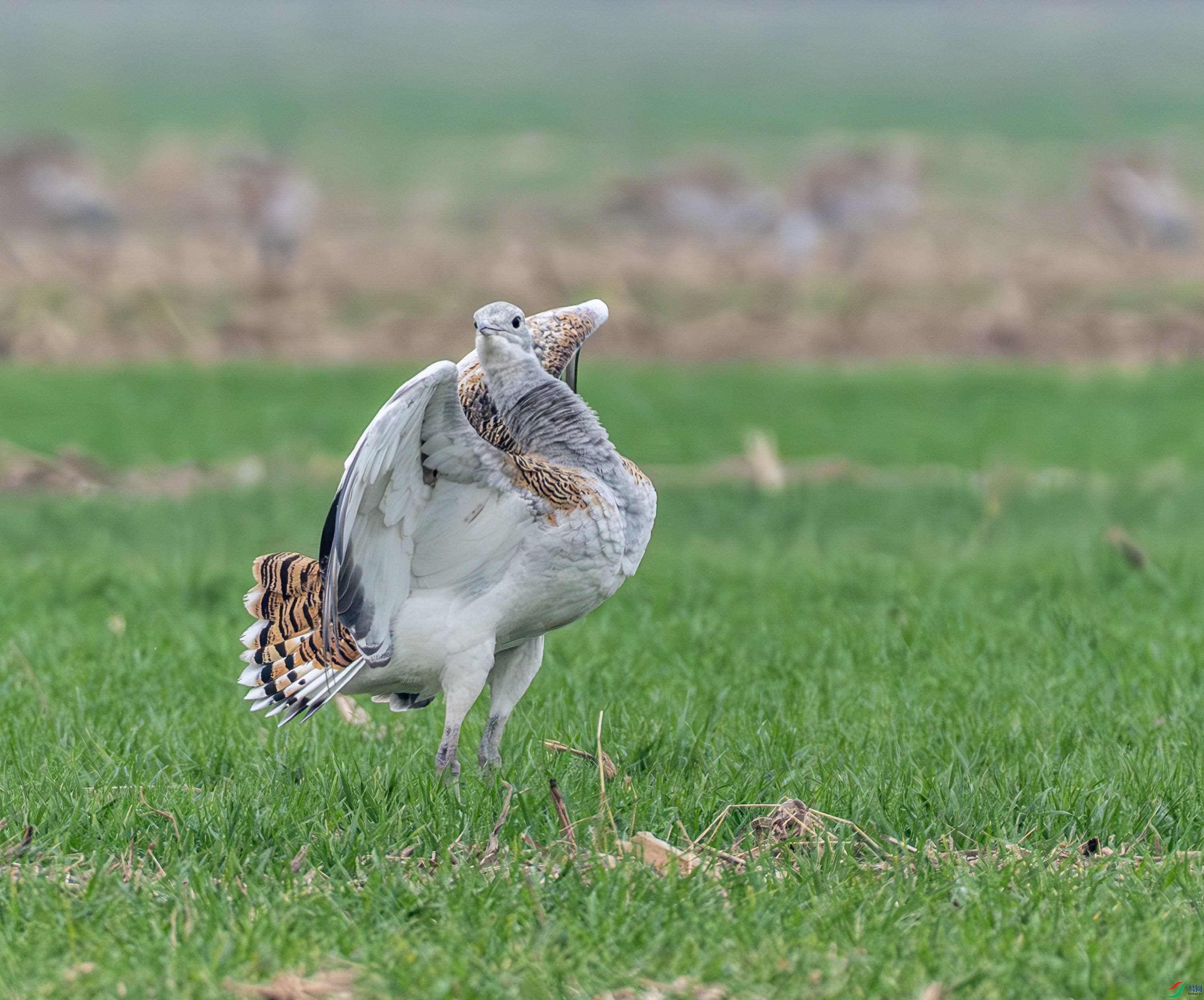 ���-14-34.jpg