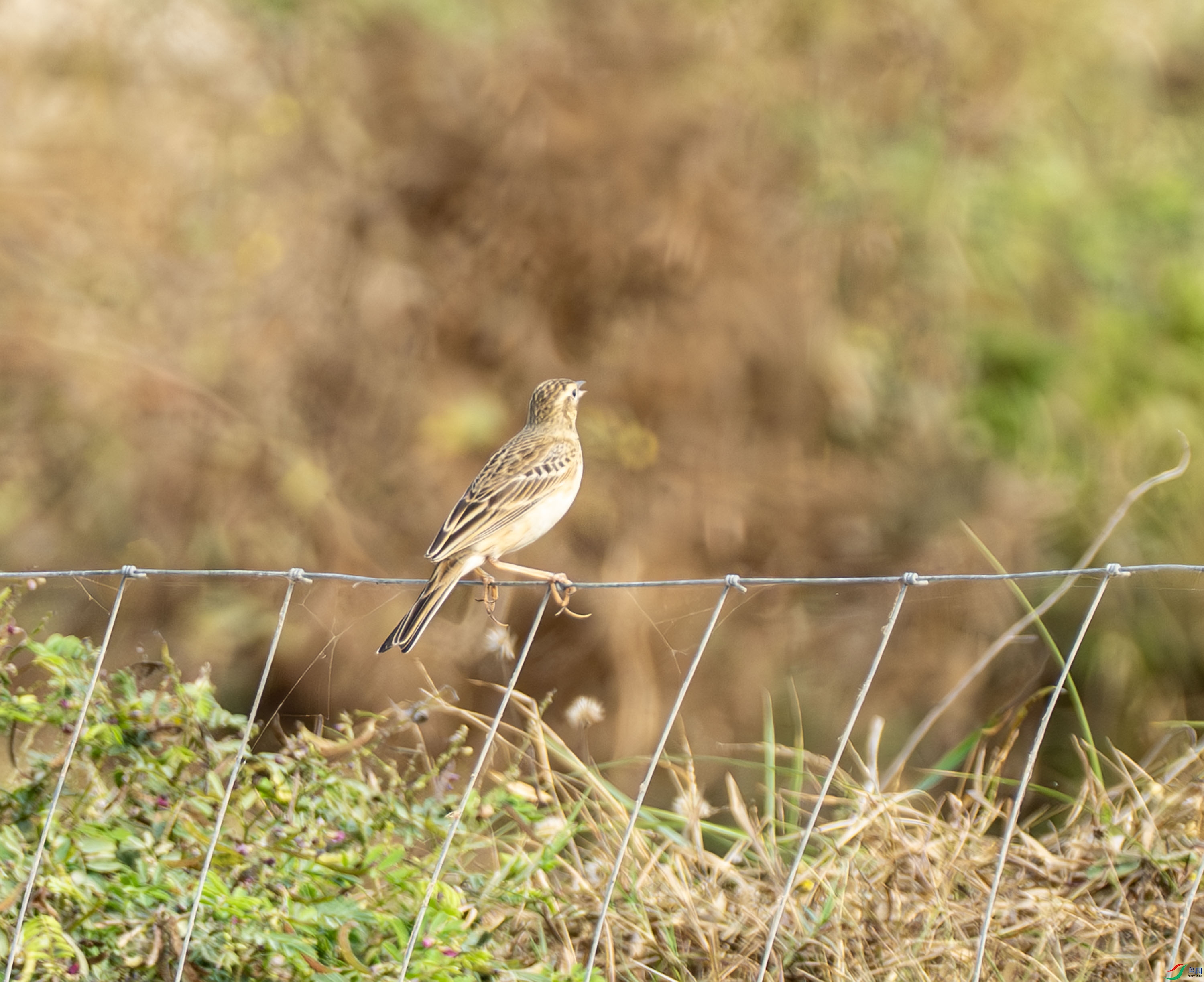 ������-04-5.jpg