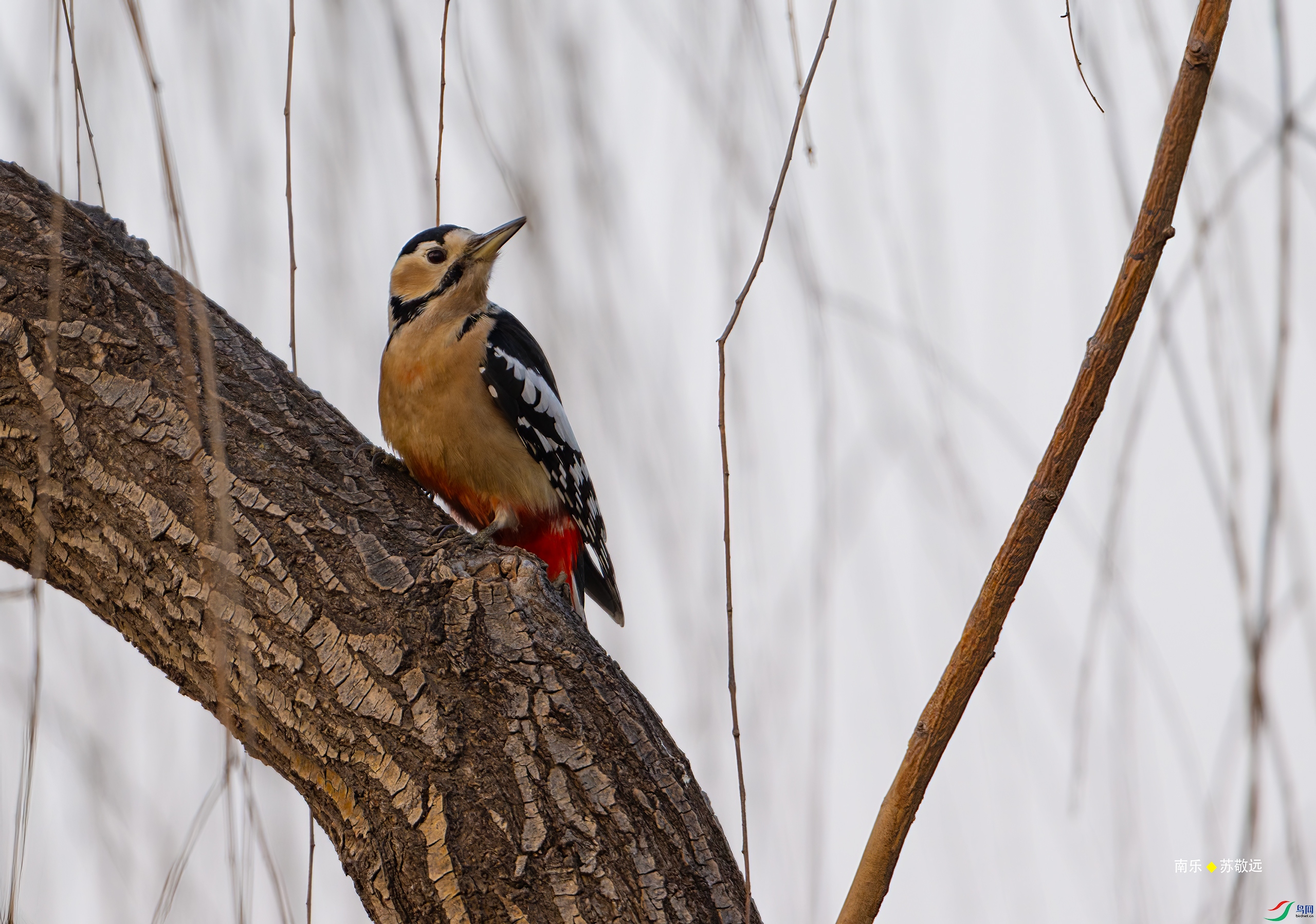 _DSC1316-DxO_С.jpg
