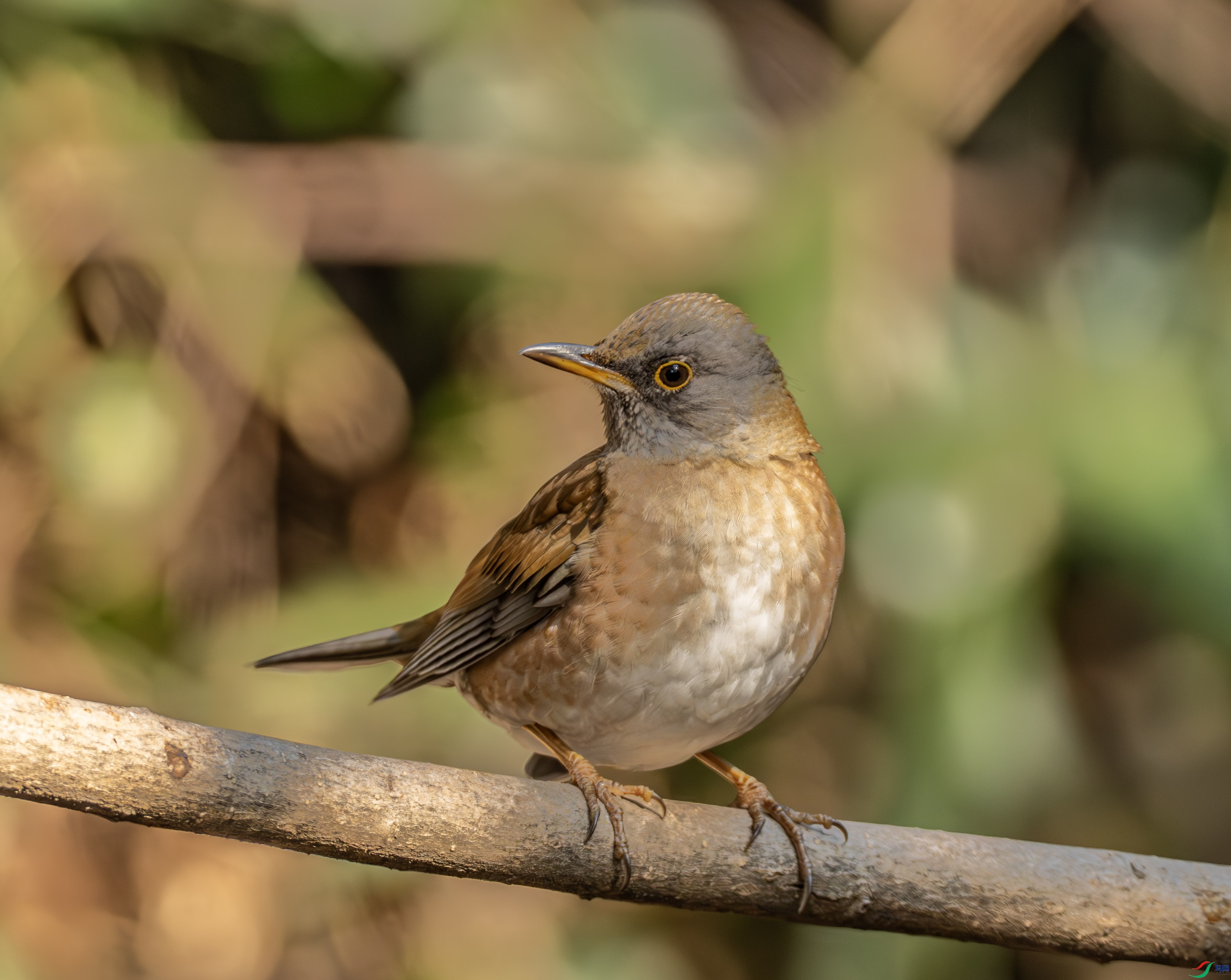 �׸��-03-4.jpg