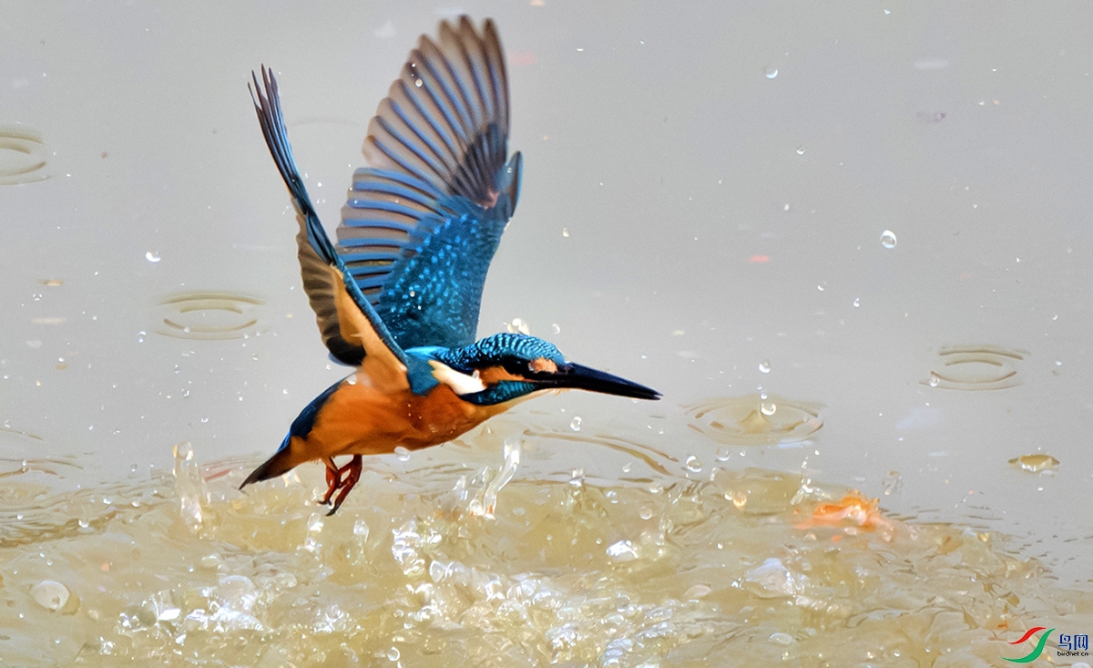 DSC_1018������ˮ ����.jpg