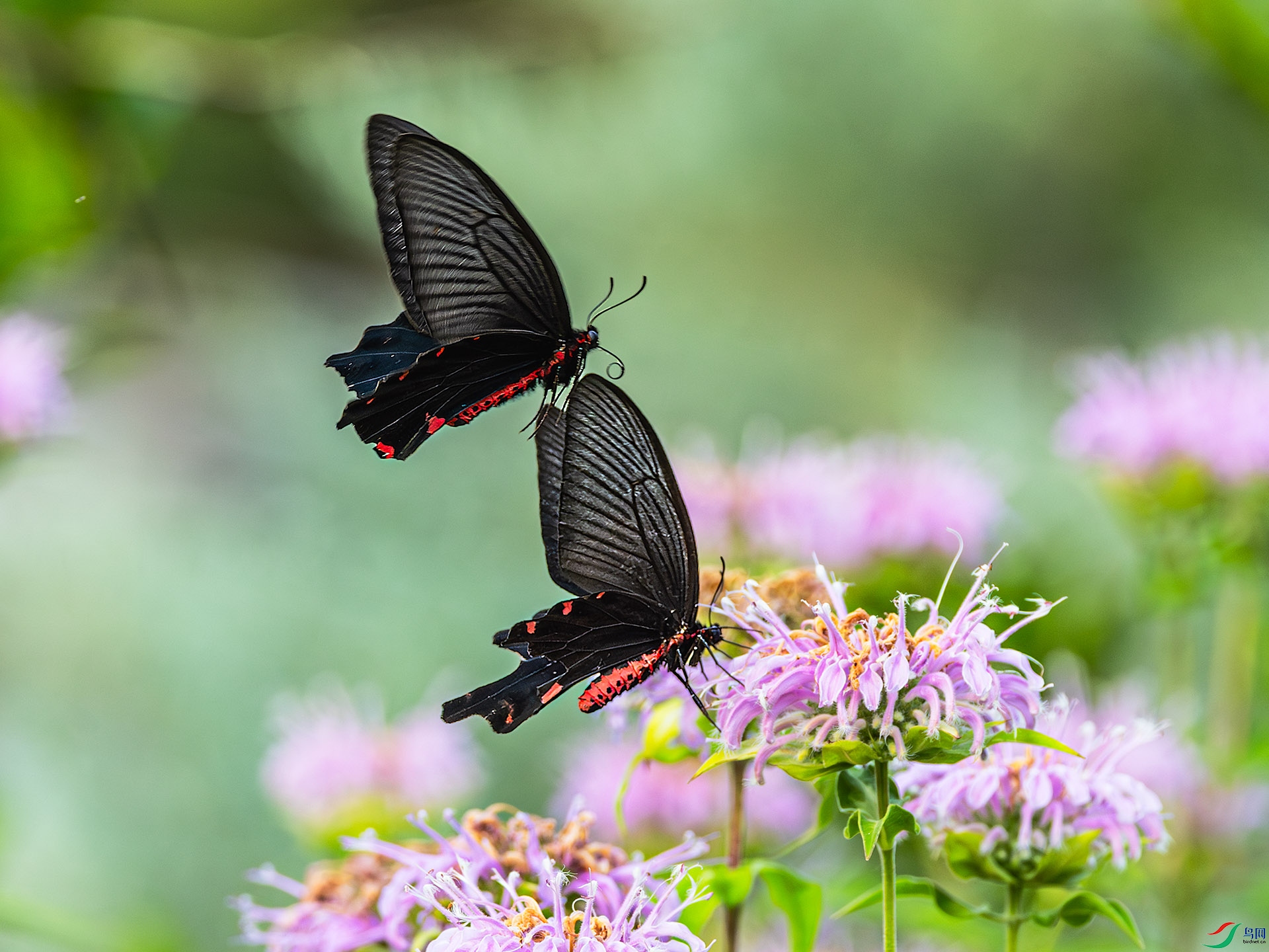 0628����.jpg