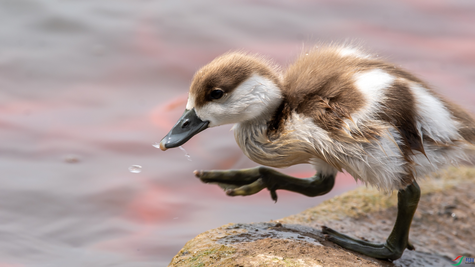 _DSC2351.jpg