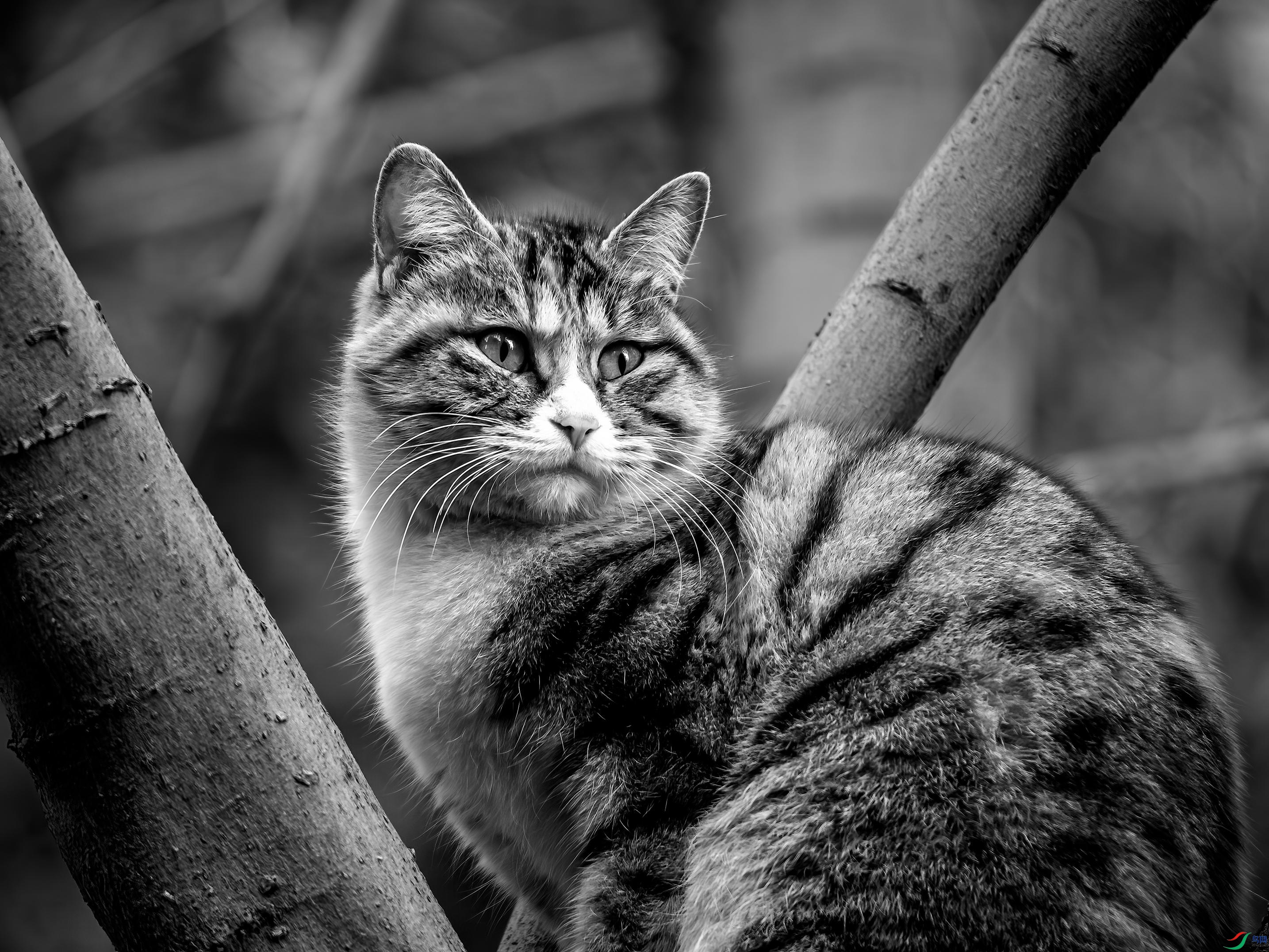 DSC00225aa_����.jpg