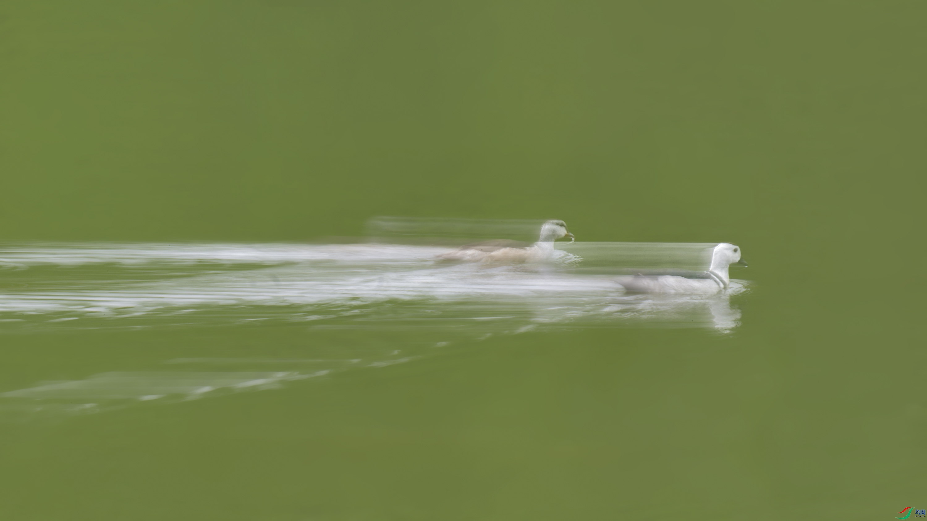 DSC_4529_DxO.jpg
