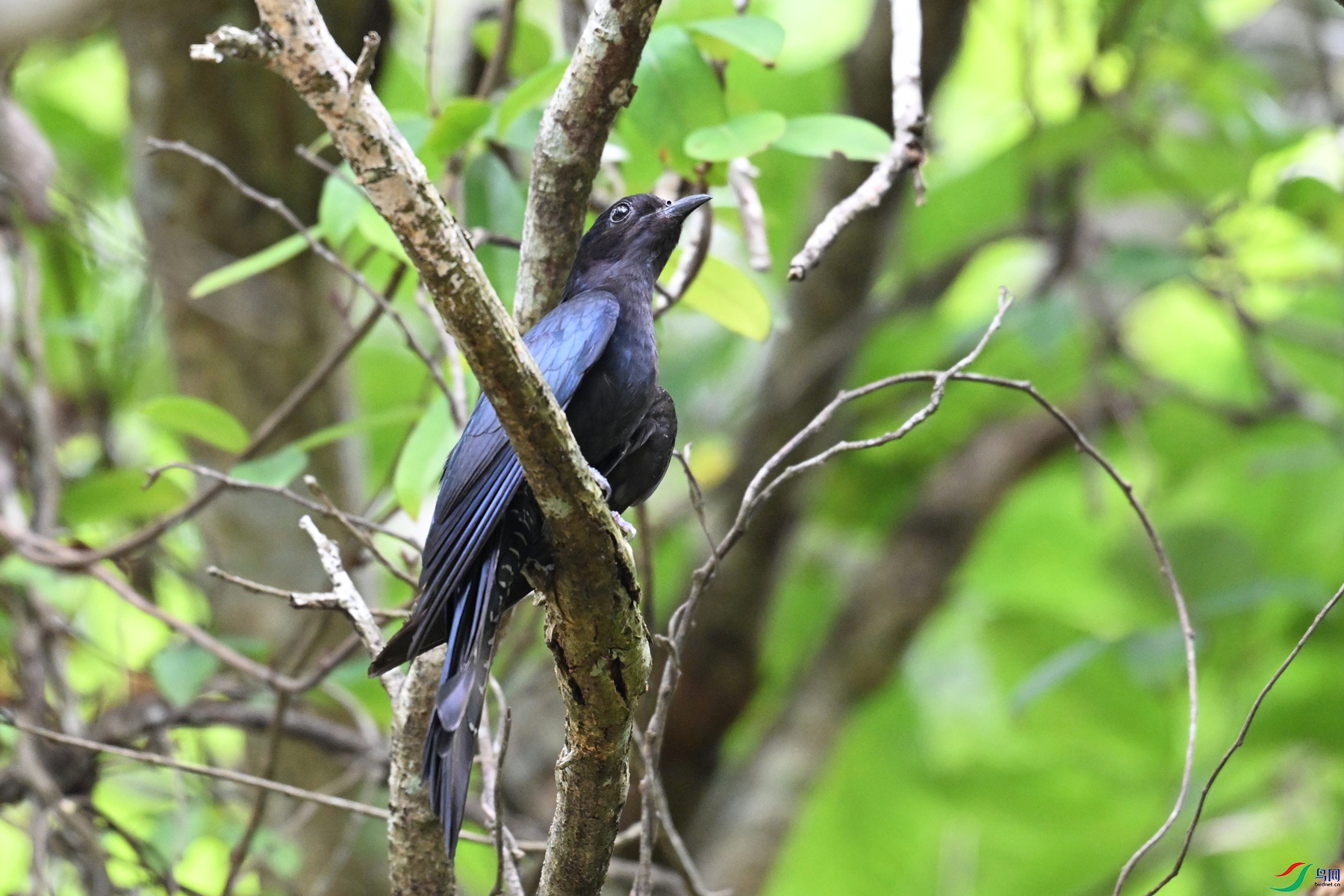 DSC_0962.JPG