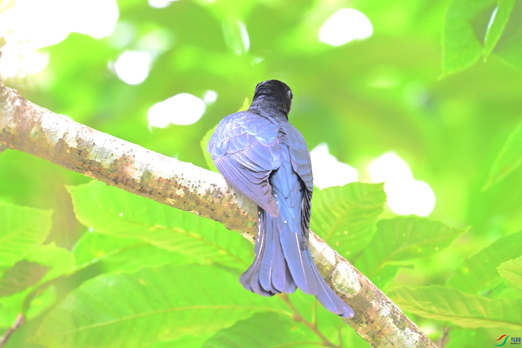DSC_0969.JPG
