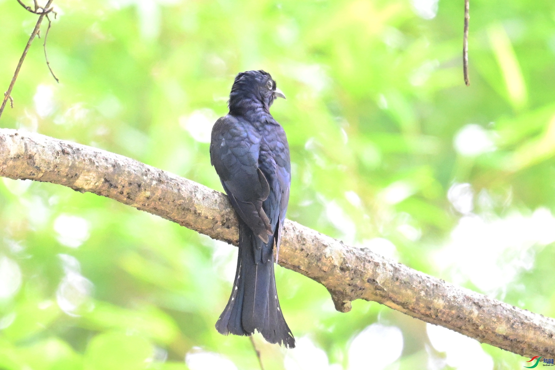 DSC_0912.JPG