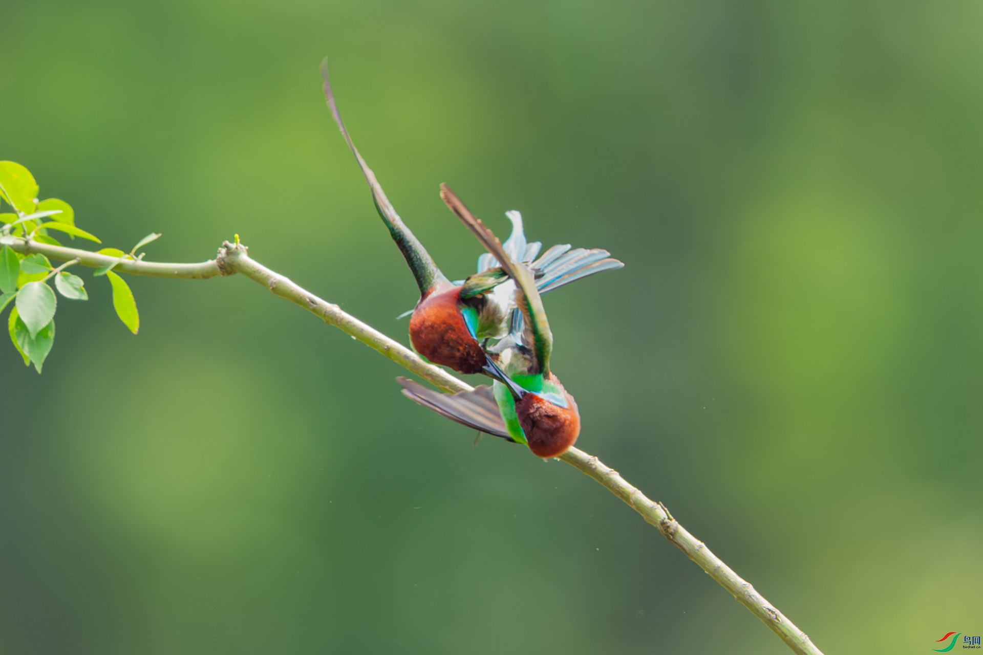 DSC_1139.jpg