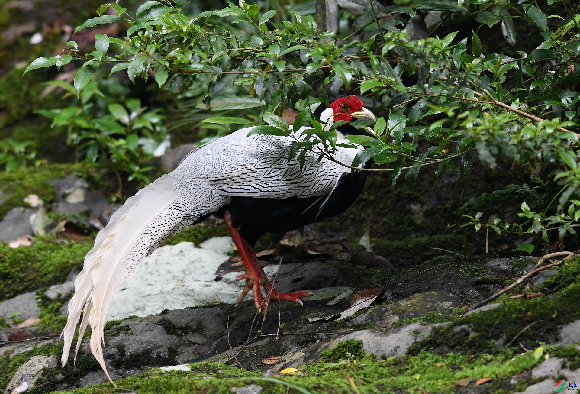 DSC_6675.jpg