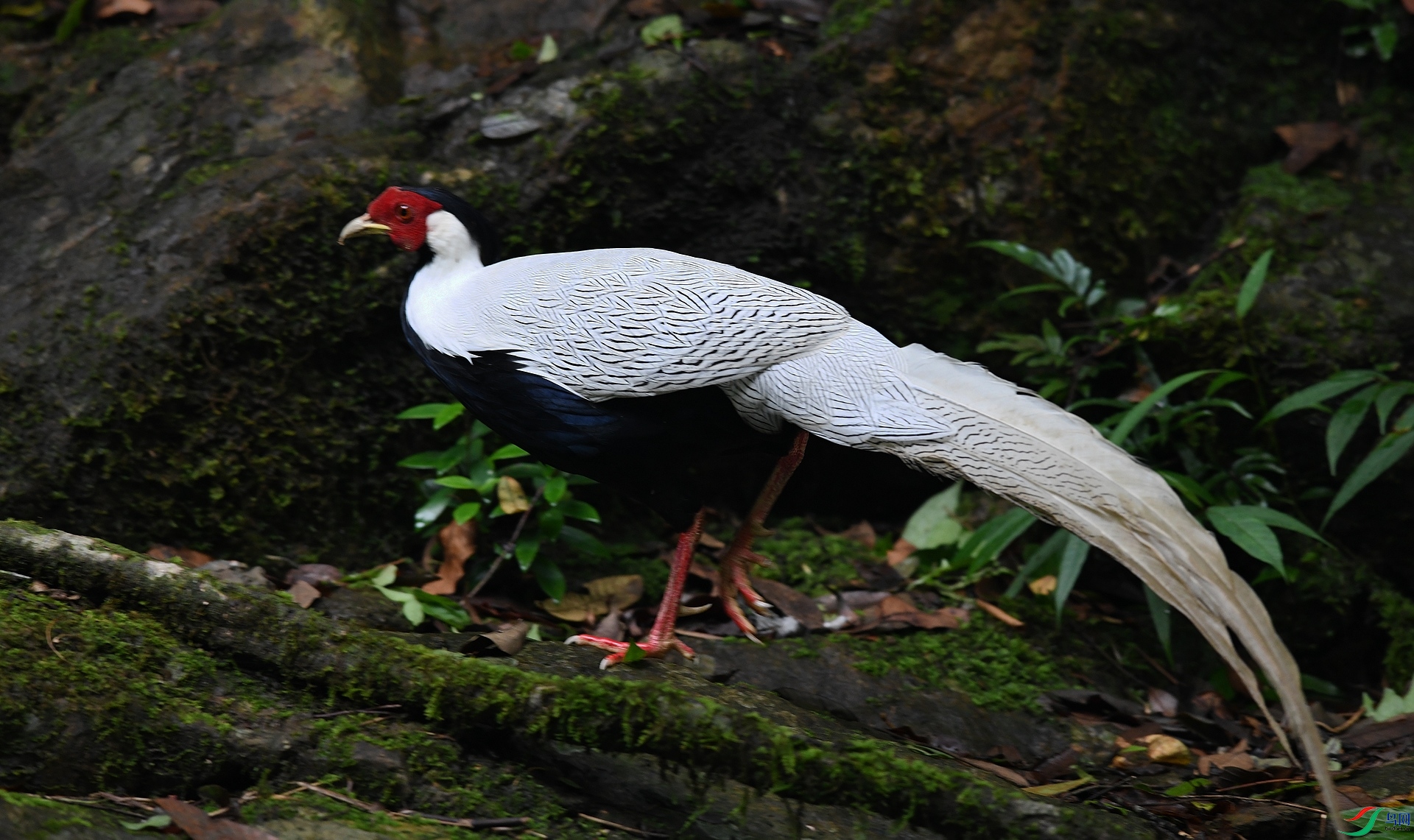 DSC_6645.jpg