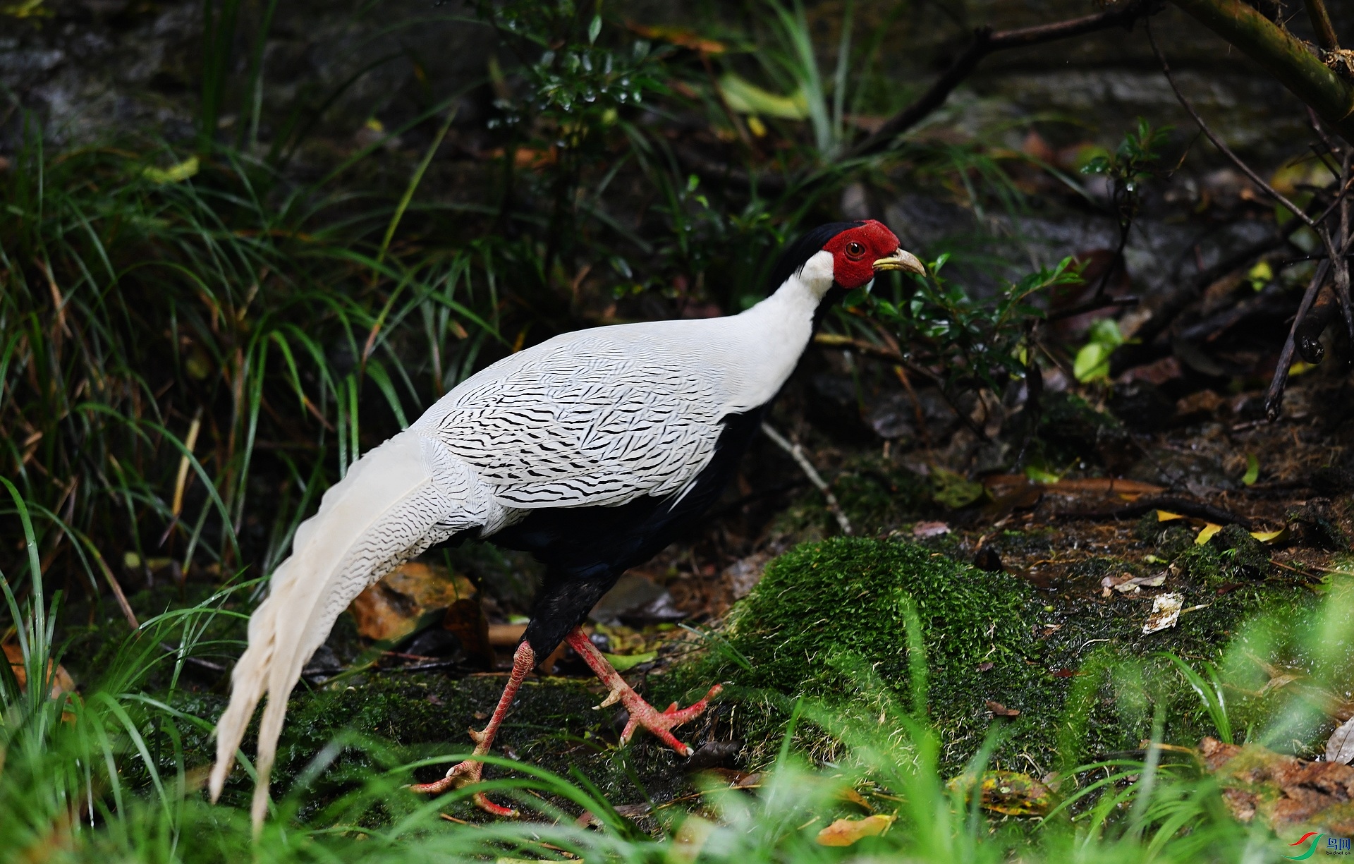 DSC_6498.jpg