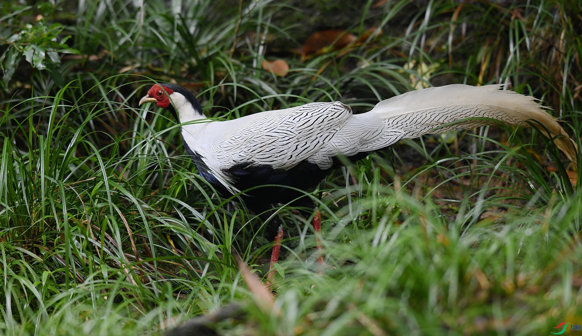 DSC_5966.jpg