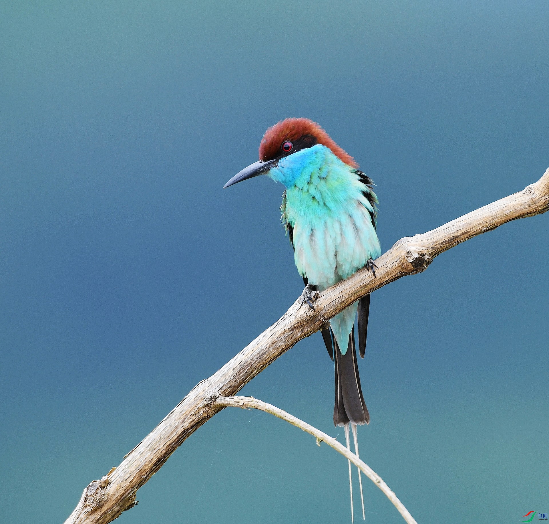 DSC_4976.jpg