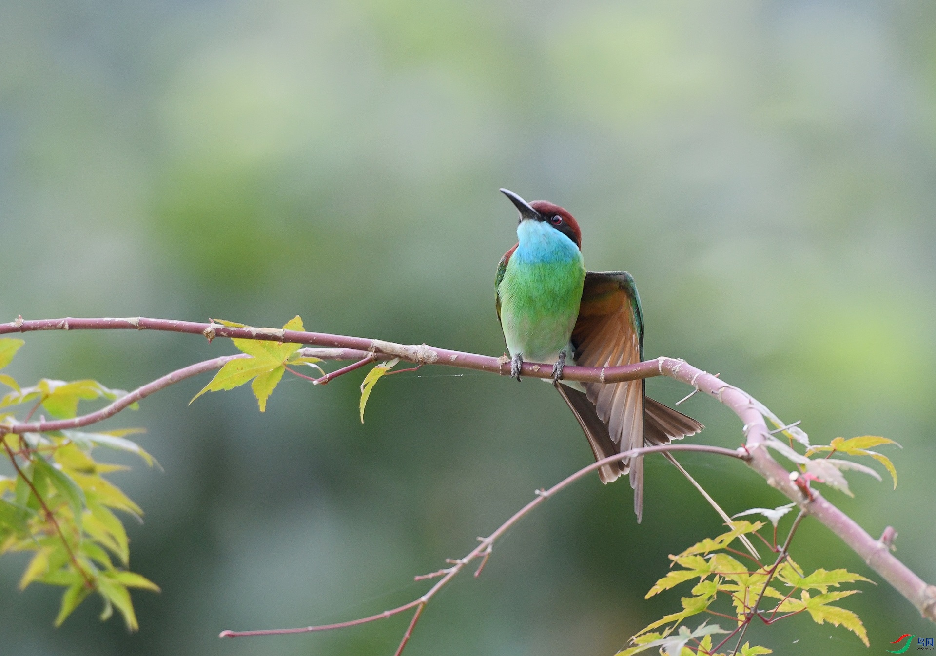 DSC_5642.jpg