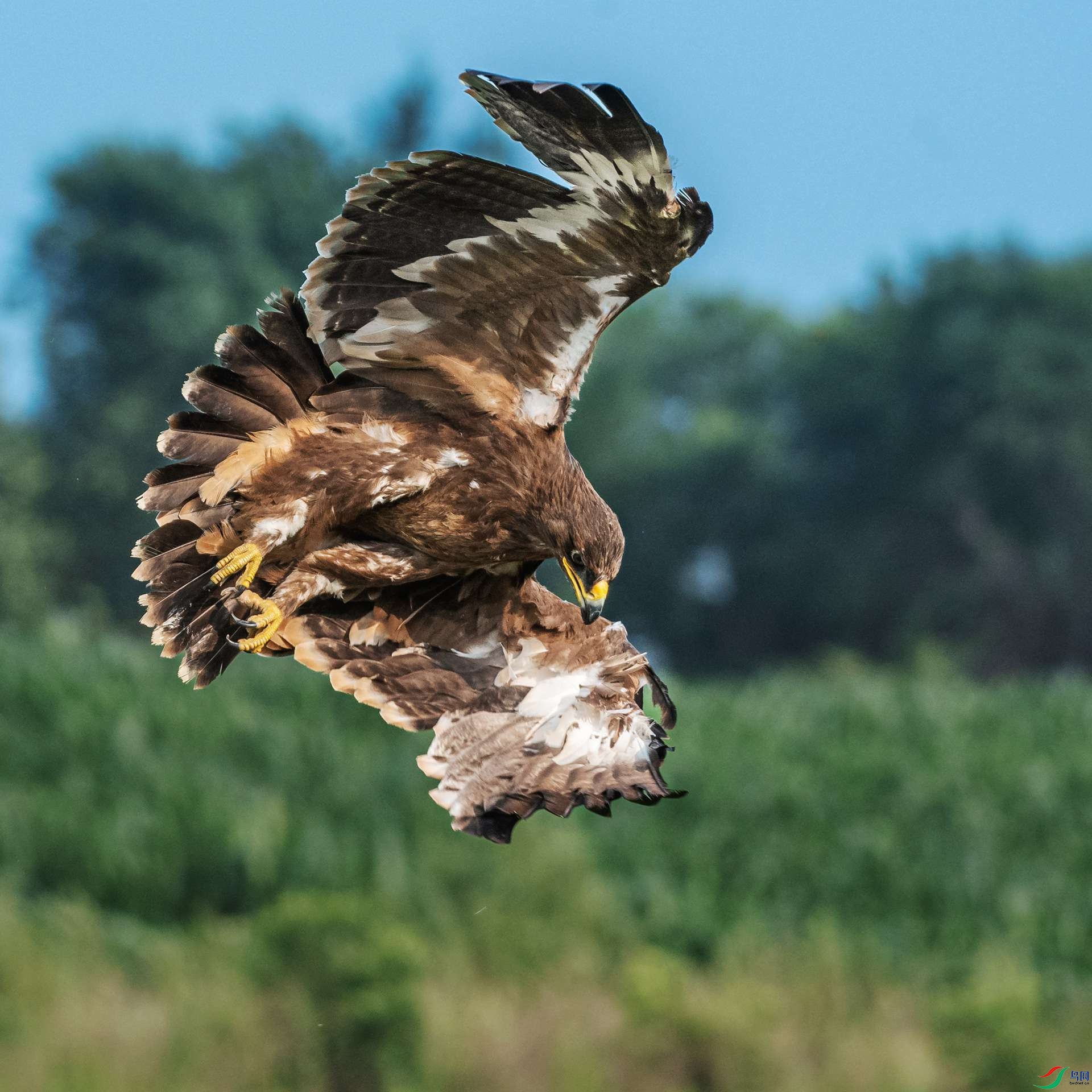 DSC5741-1.jpg