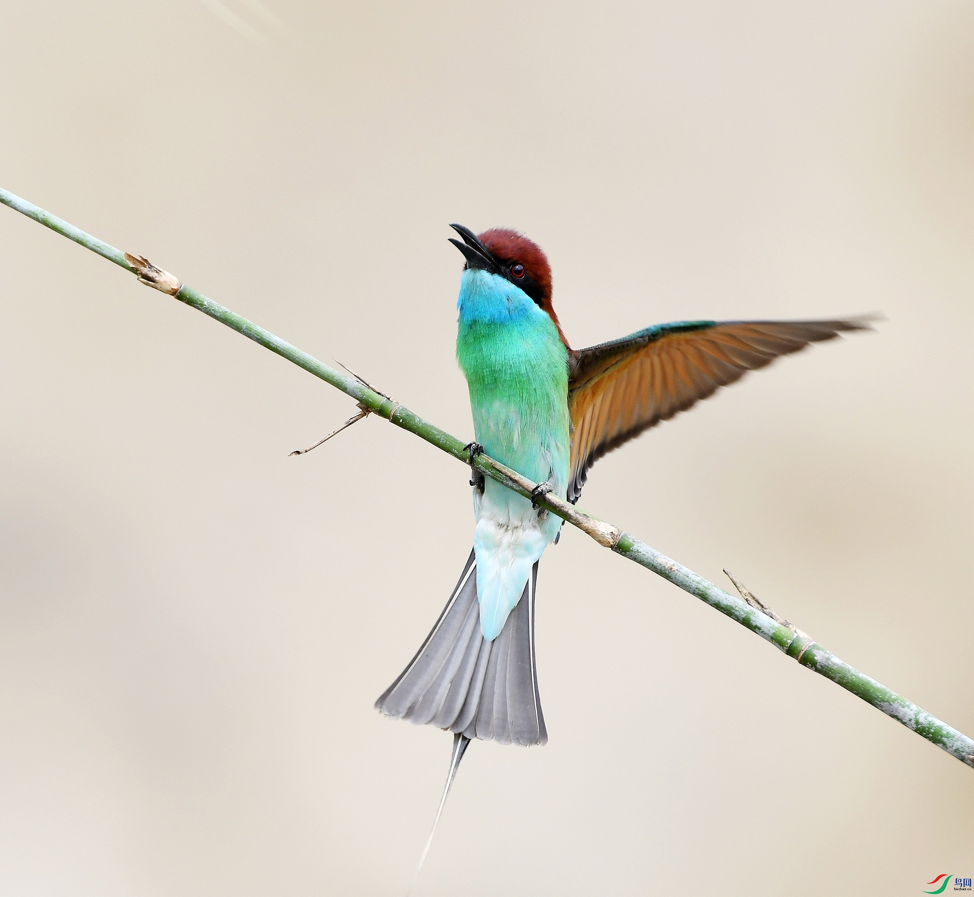 DSC_5833.jpg