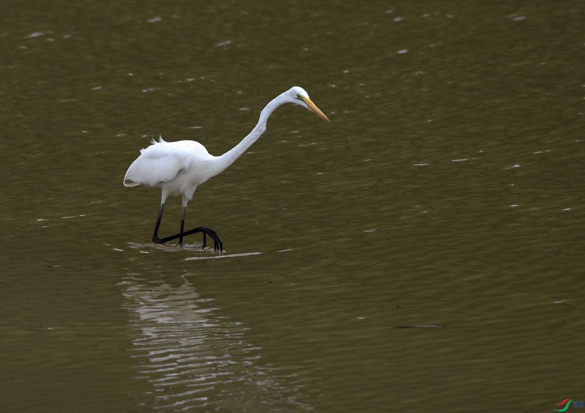 DSC_4907.jpg