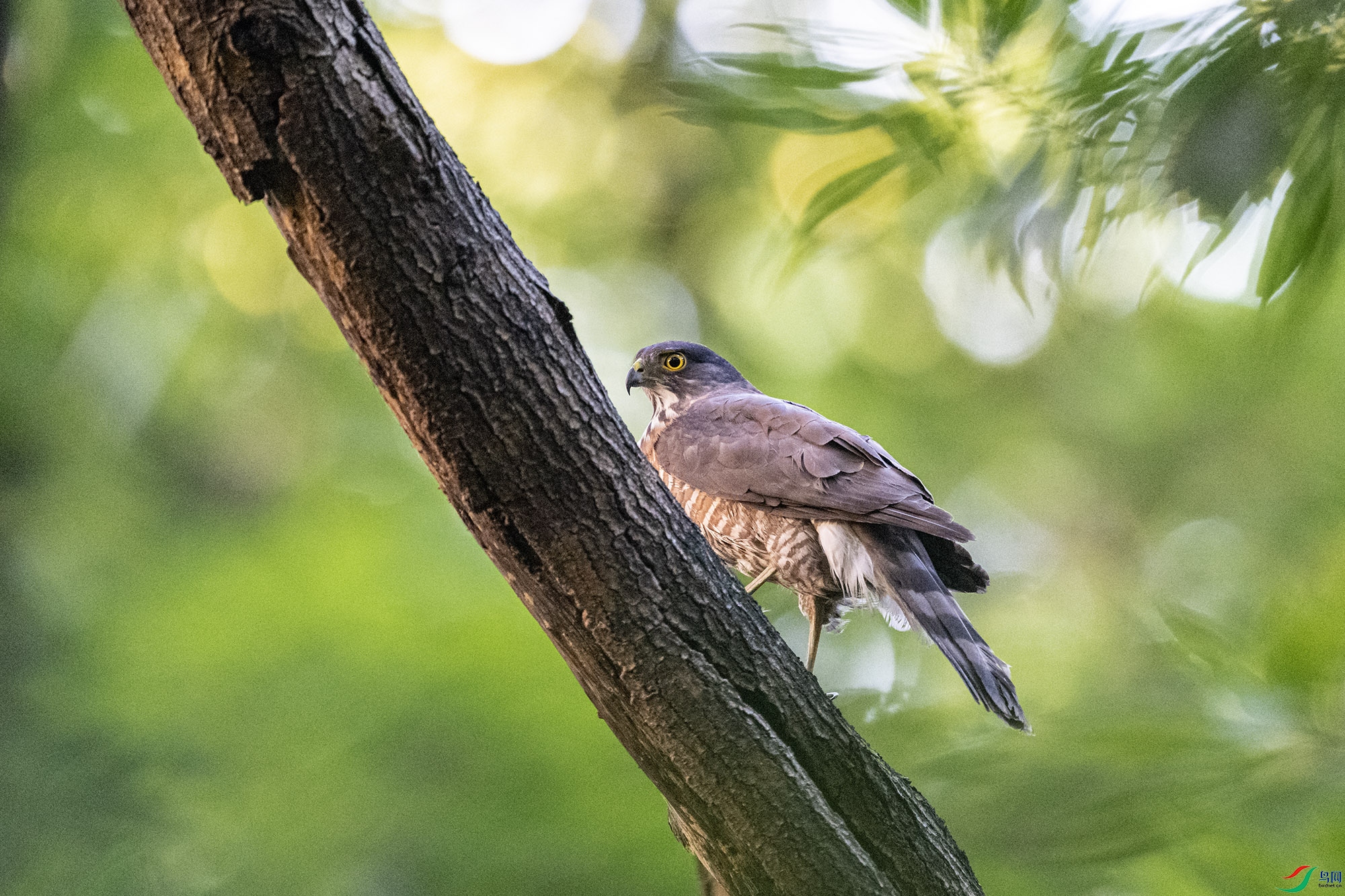 DSC_9044.jpg