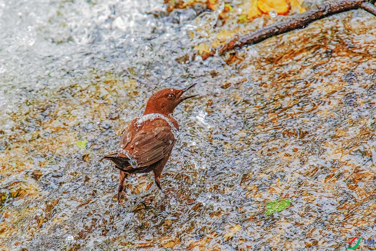 DSC_3500.jpg