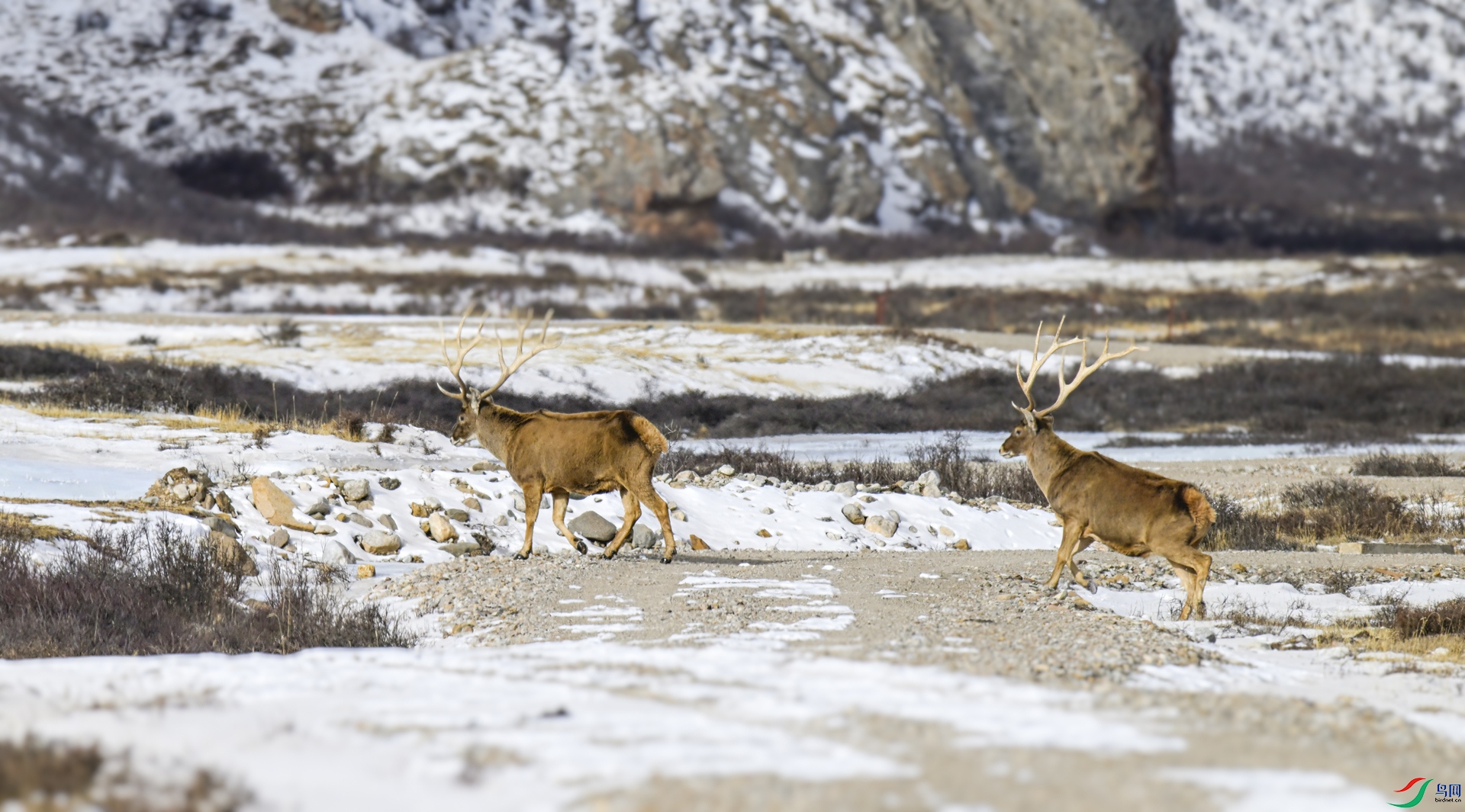 _DSC3894_����.jpg