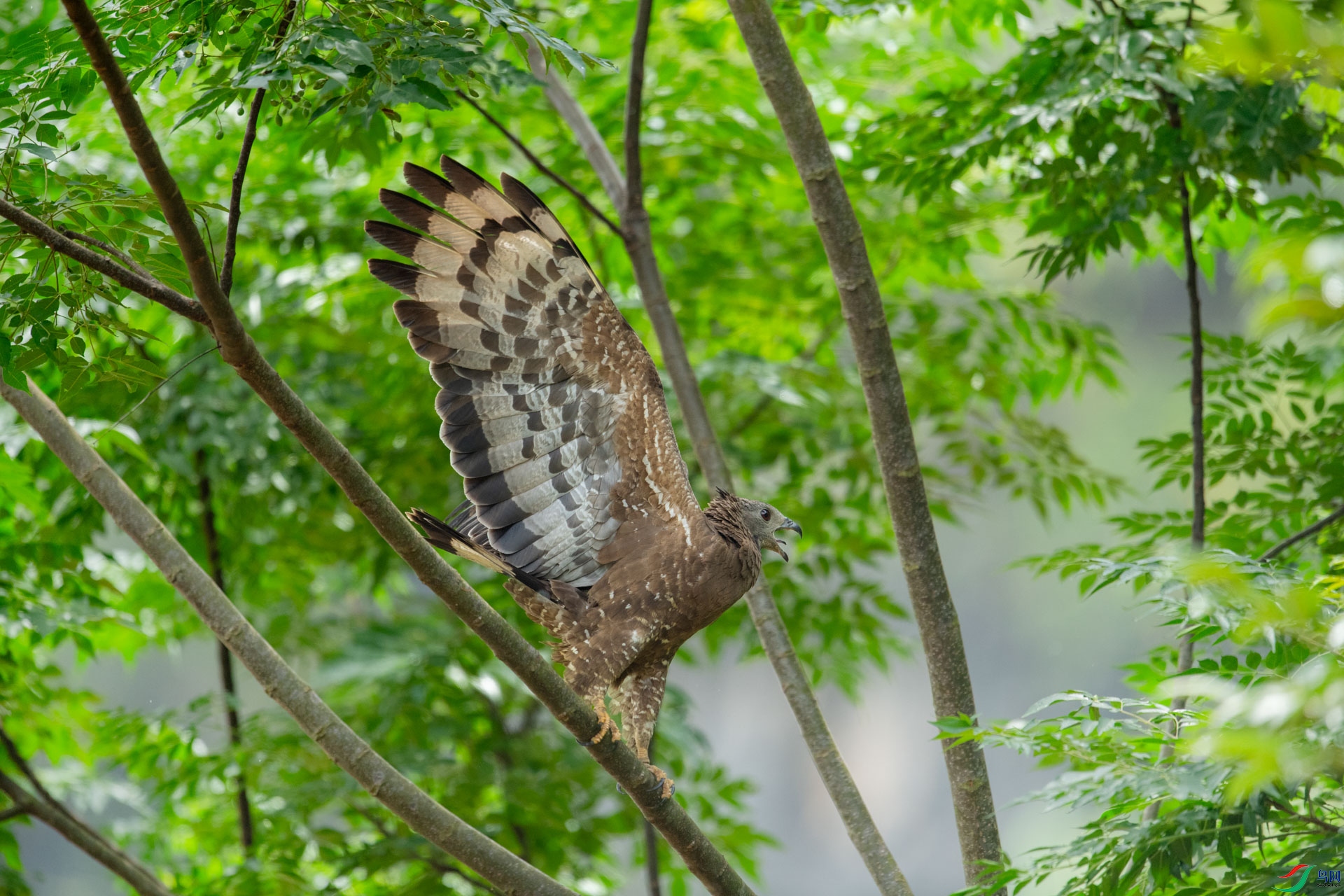 DSC_9044.jpg