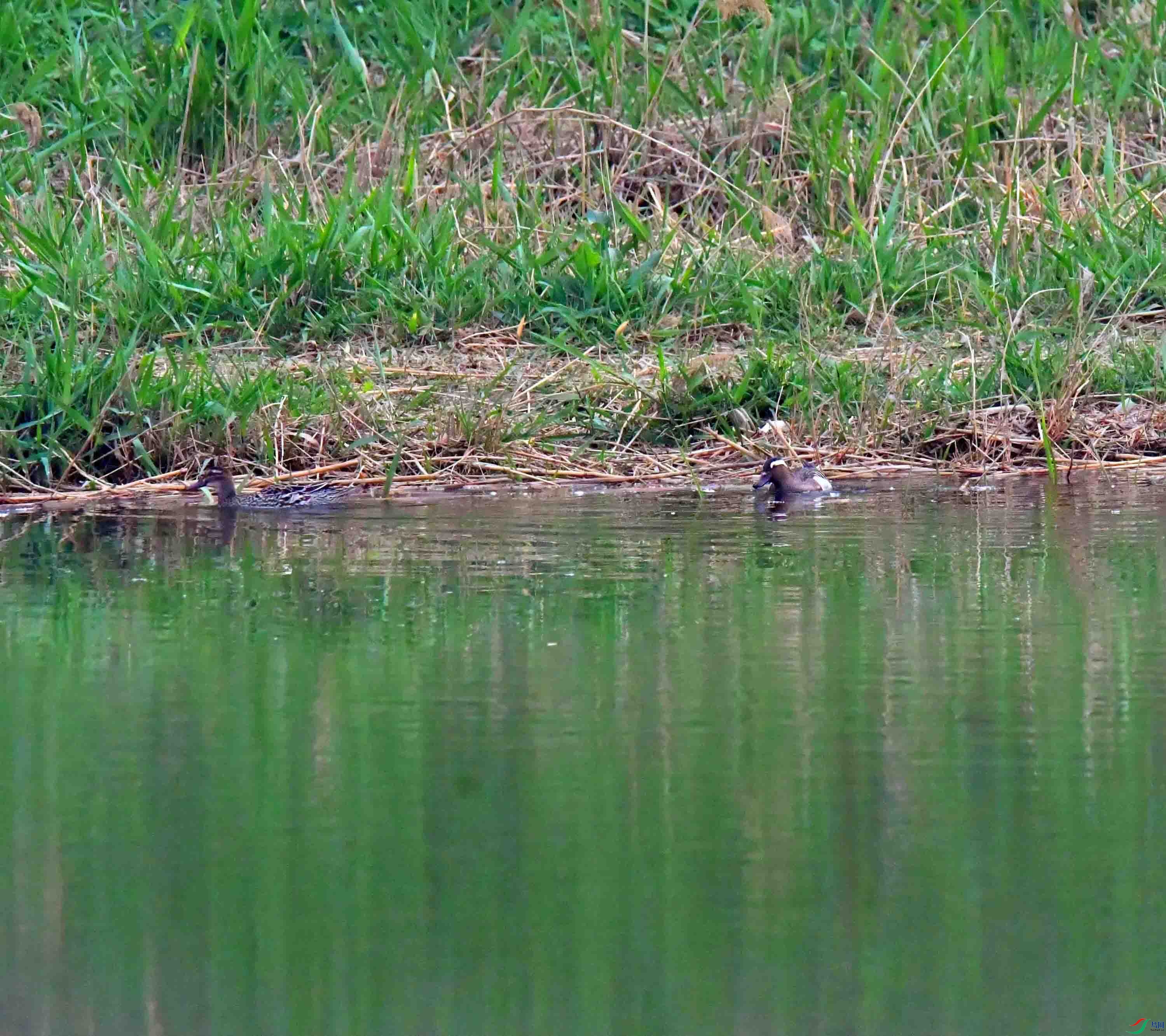 DSC_6706.JPG