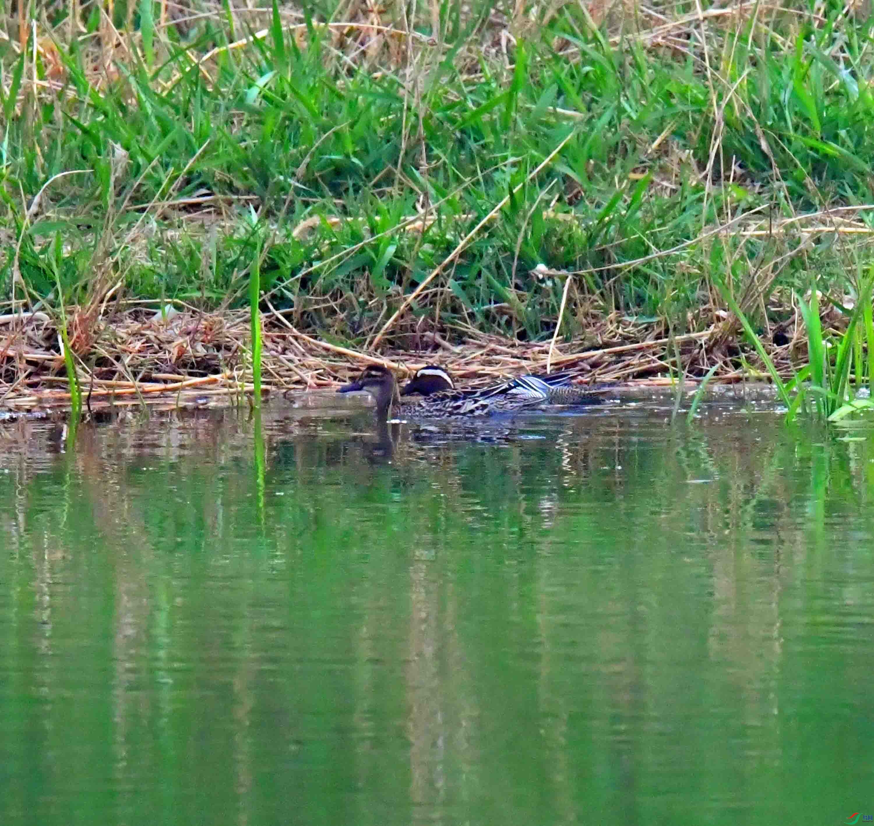 DSC_6702.JPG