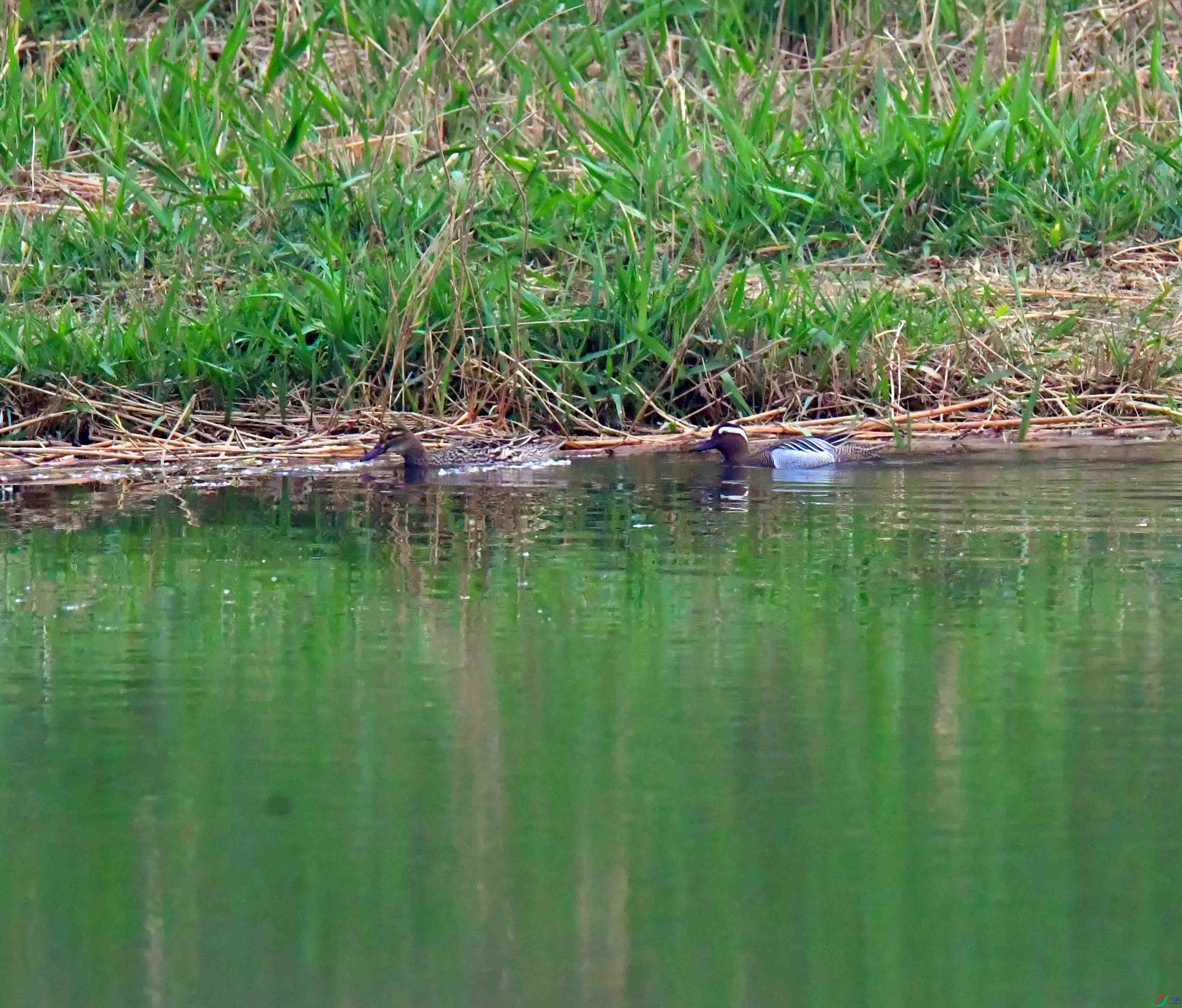 DSC_6712.JPG